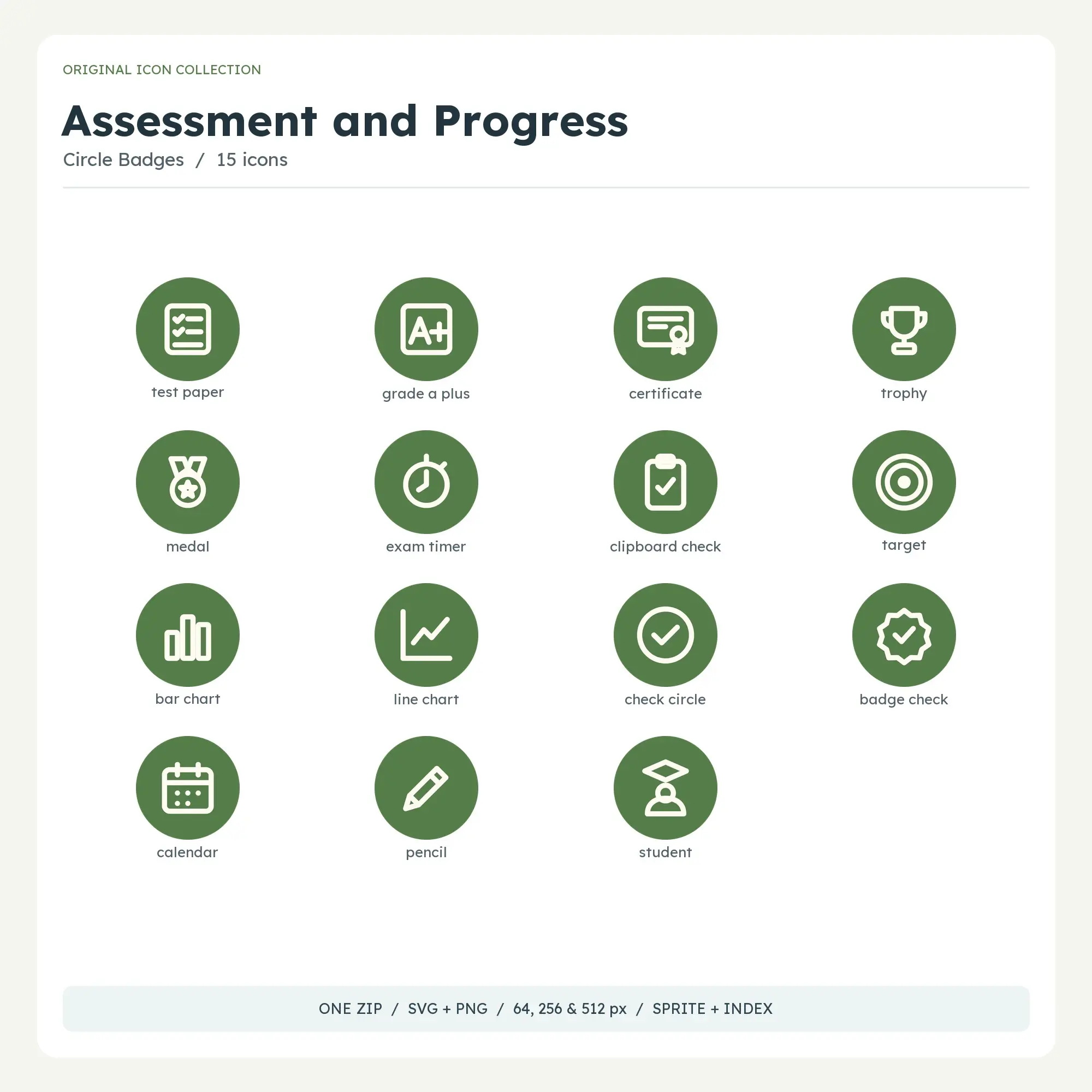 Assessment and Progress Icons - Circle Badges preview
