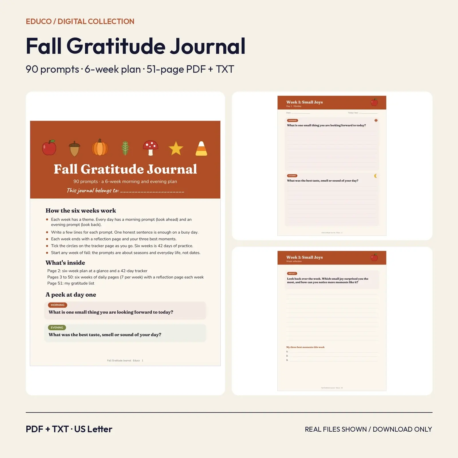Fall Gratitude Journal – 90 Prompts in a 6-Week Morning and Evening Plan (Printable PDF + TXT) preview