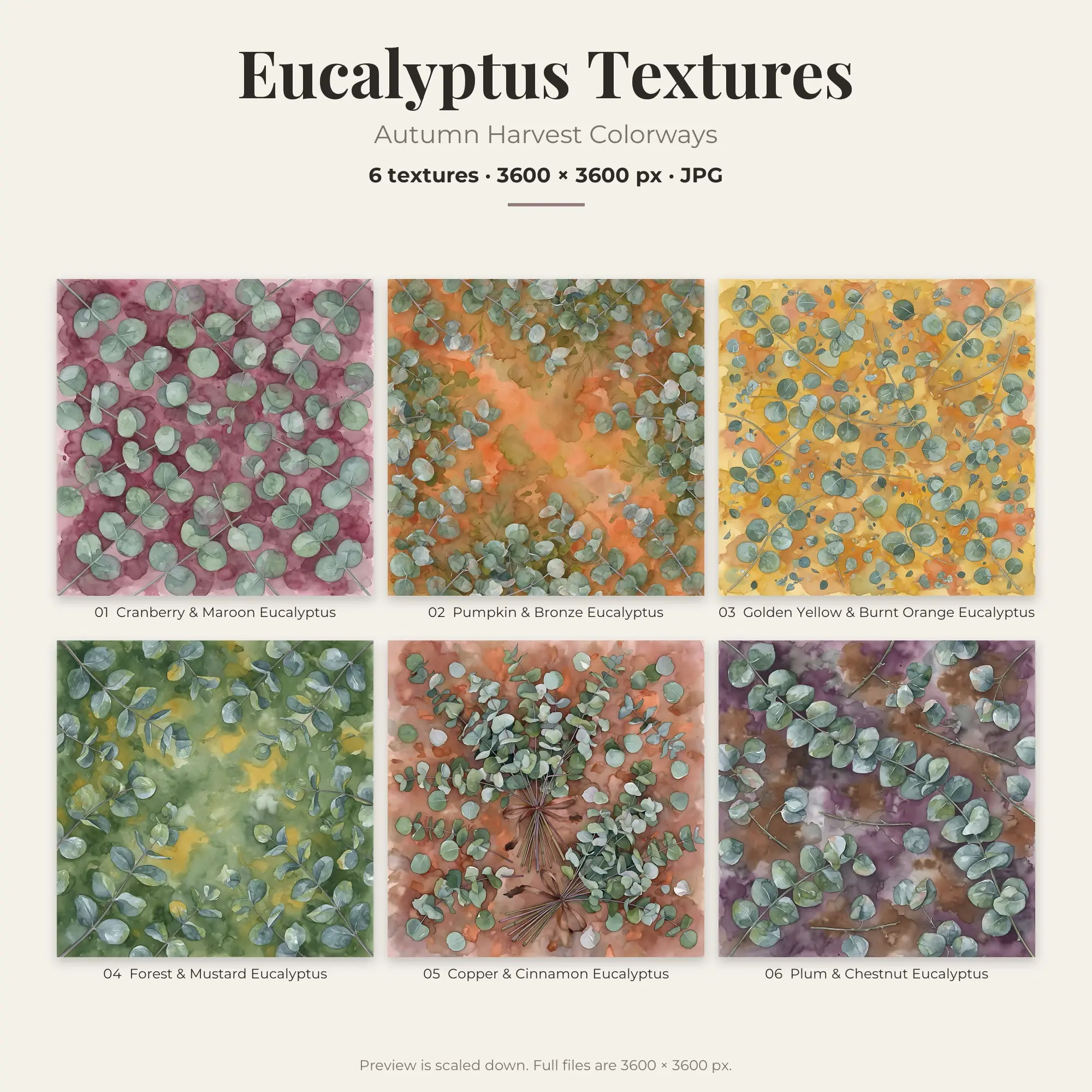 Autumn Harvest Eucalyptus Textures – 6 Digital Backgrounds preview