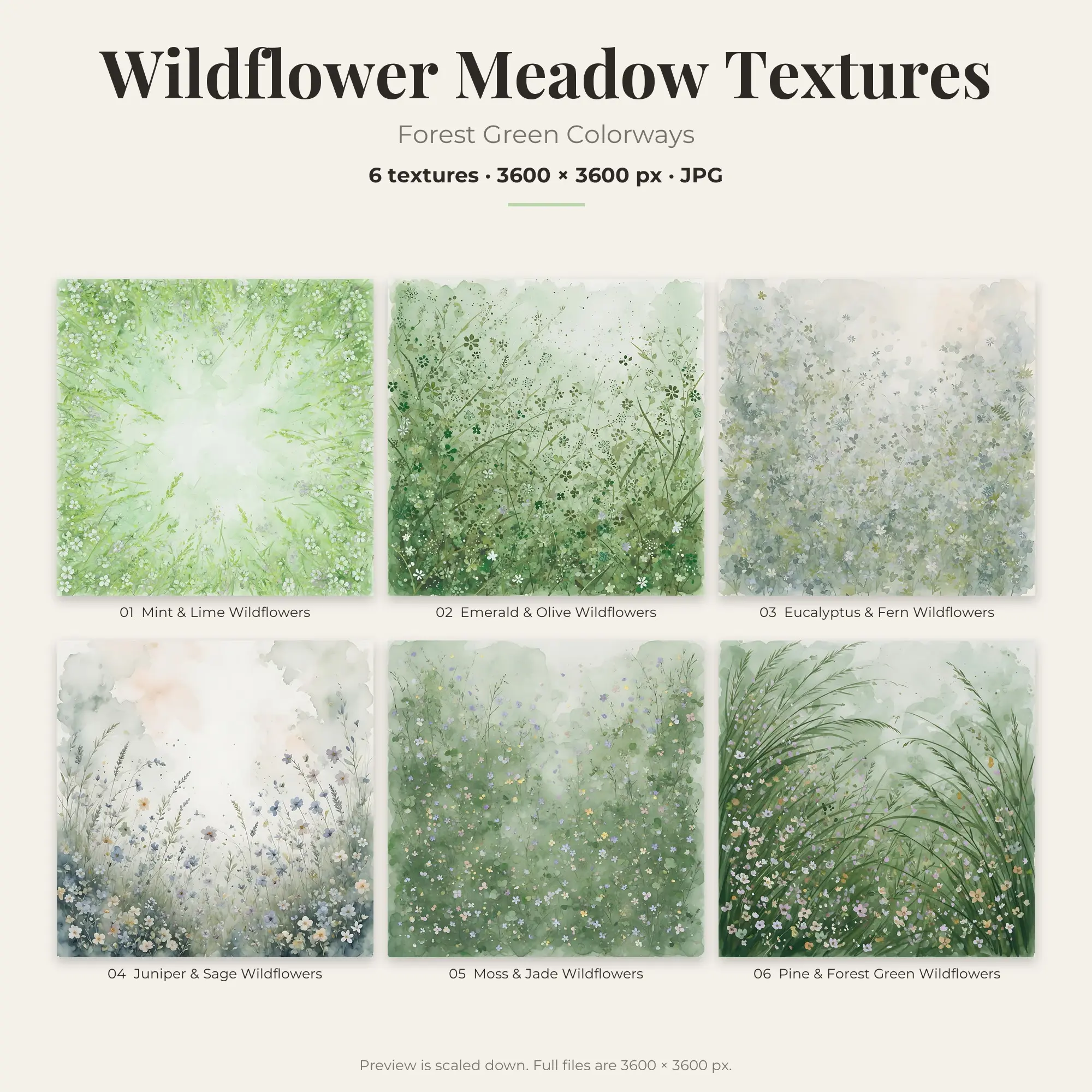 6 Forest Green Wildflower Meadow Textures, High-Res Backgrounds preview