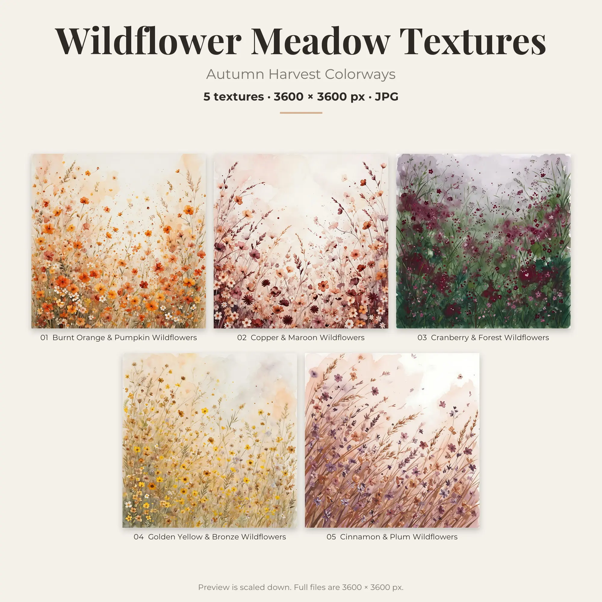 5 Autumn Harvest Wildflower Meadow Textures, High-Res Backgrounds preview