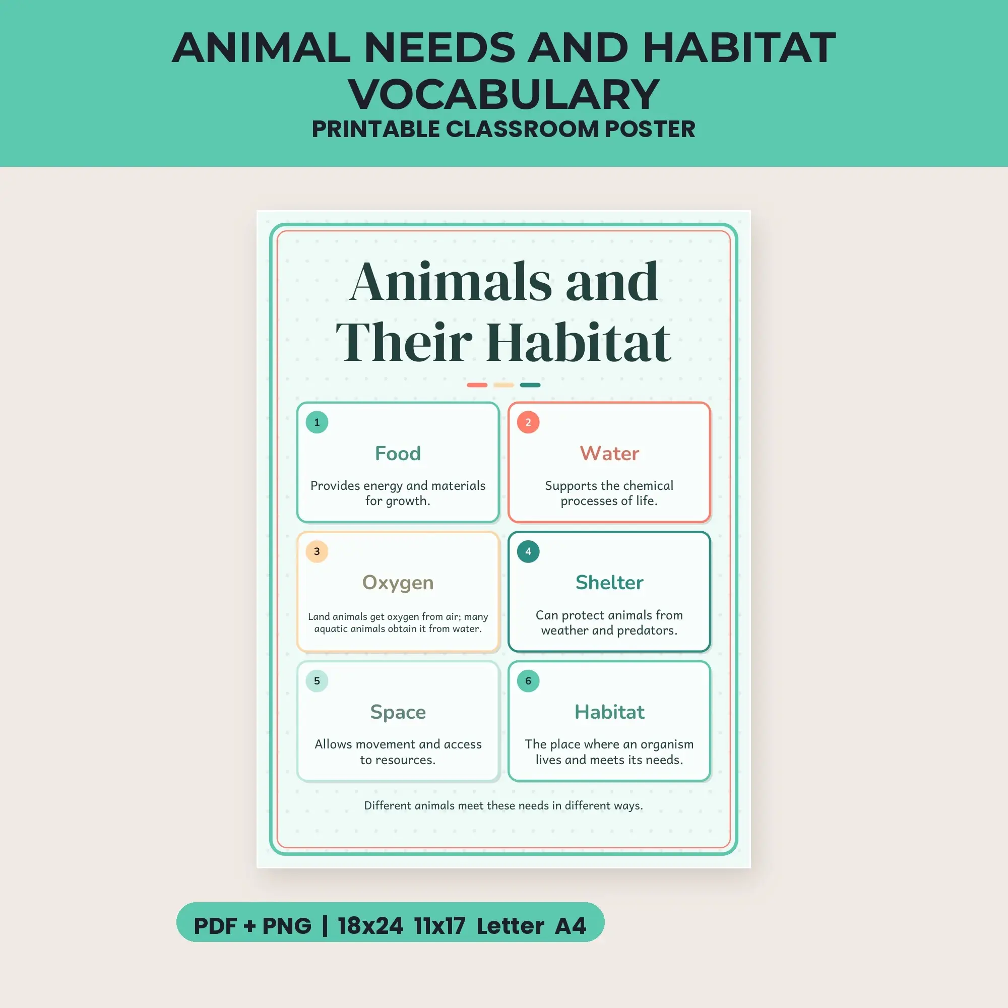 Animal Needs and Habitat Vocabulary - Seafoam Coral preview