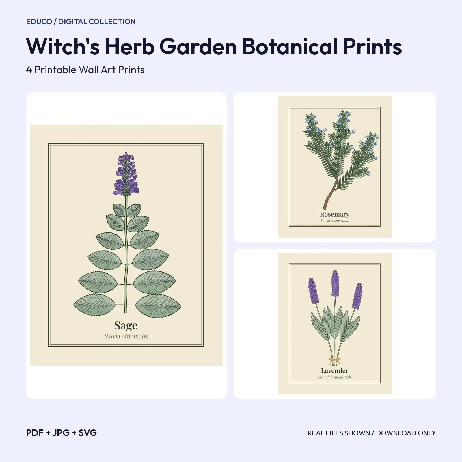 Witch's Herb Garden Botanical Prints – 4 Printable Wall Art preview