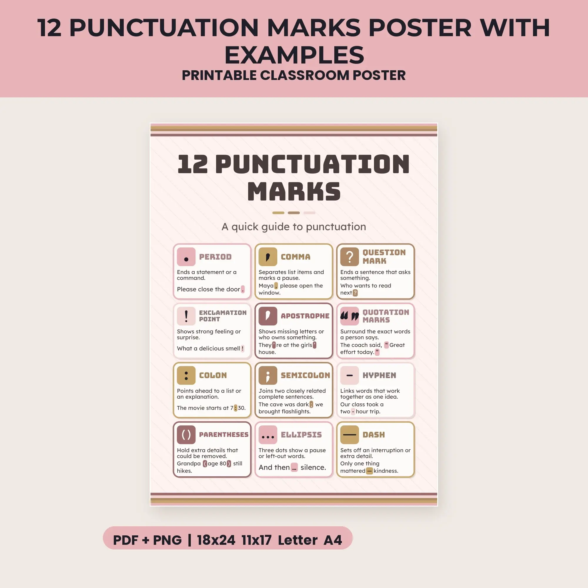 12 Punctuation Marks Poster with Examples - Blush and Gold preview