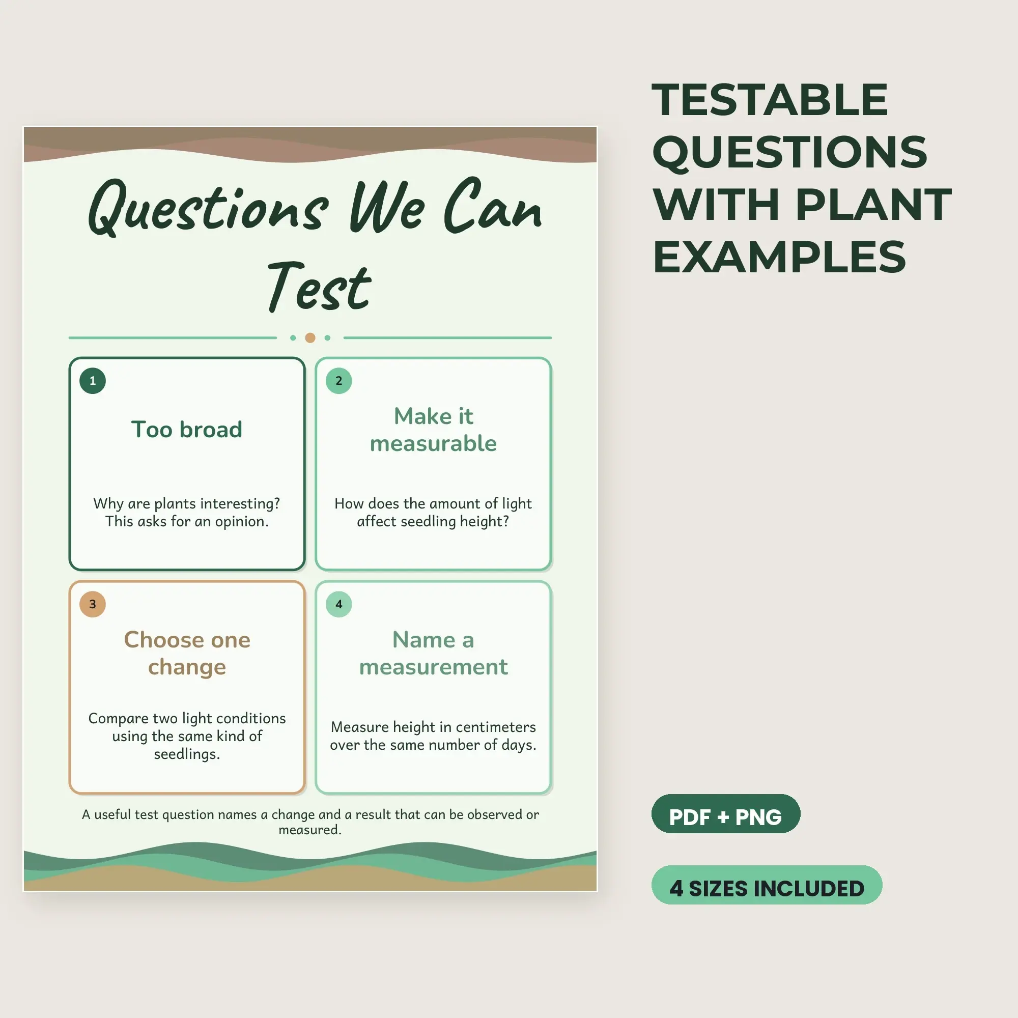 Testable Questions with Plant Examples - Forest Green preview