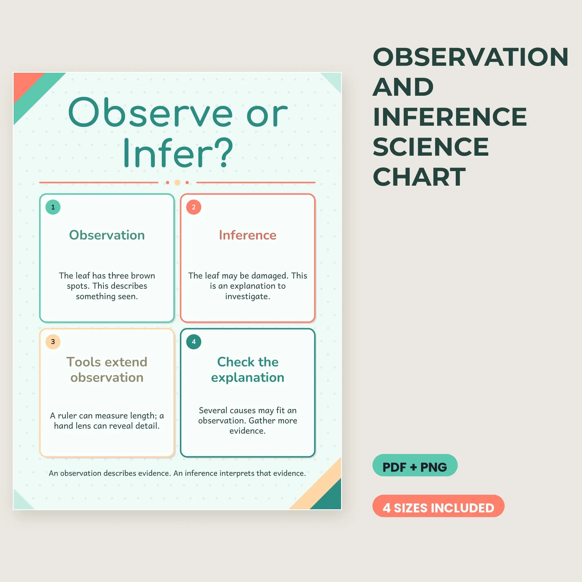Observation and Inference Science Chart - Seafoam Coral preview