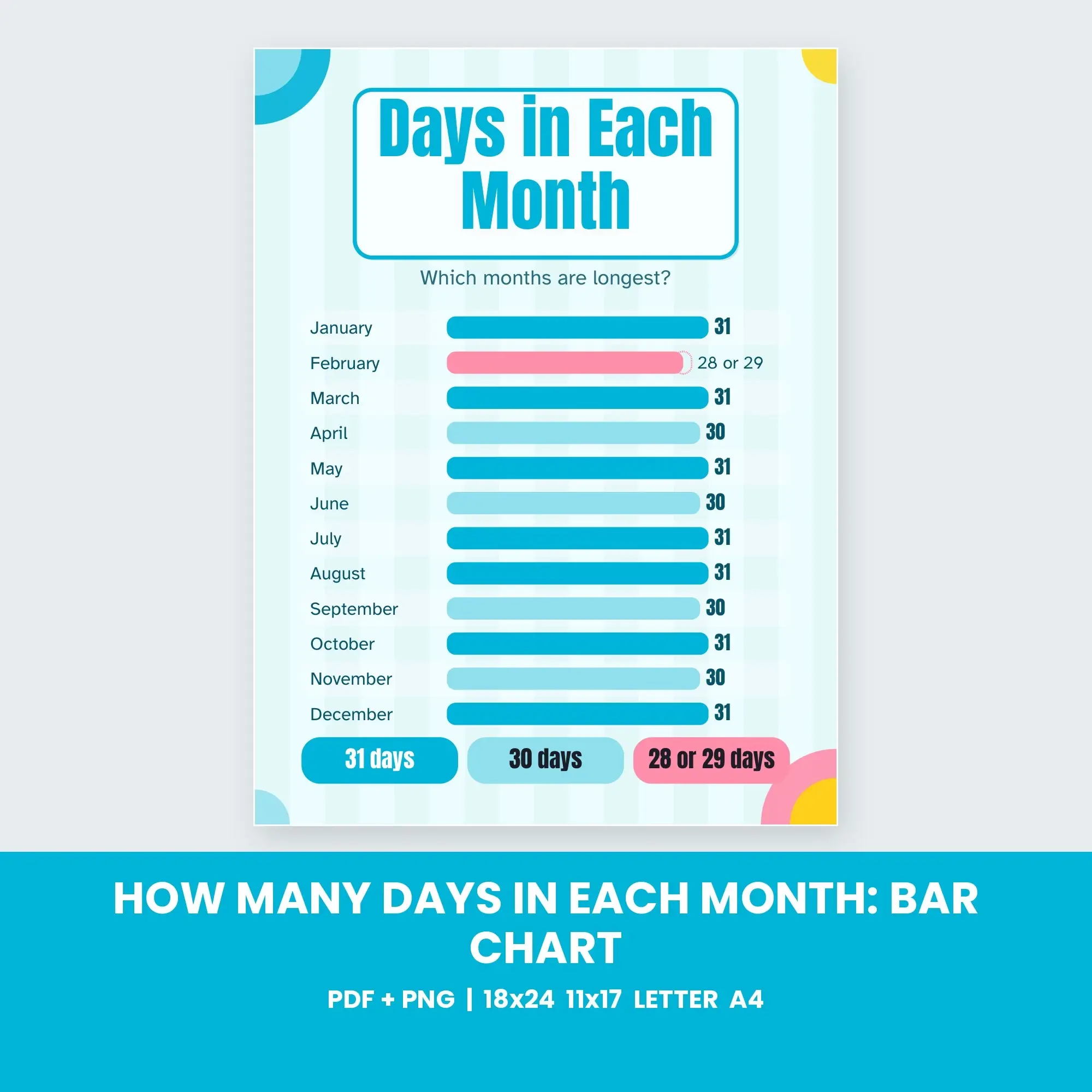 How Many Days in Each Month: Bar Chart - Pool Party preview
