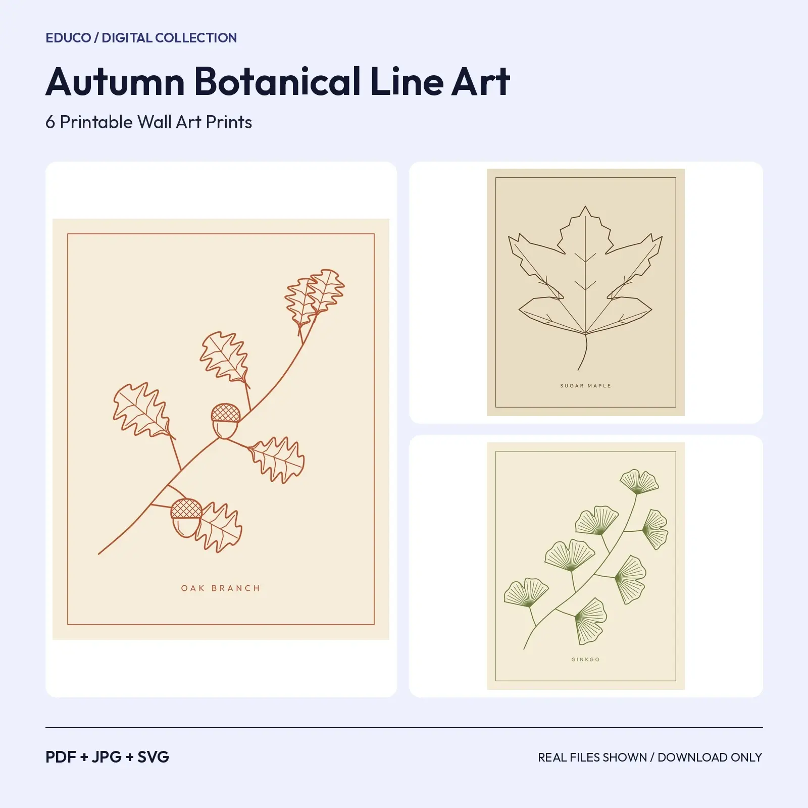 Autumn Botanical Line Art – 6 Minimalist Fall Printable Prints preview