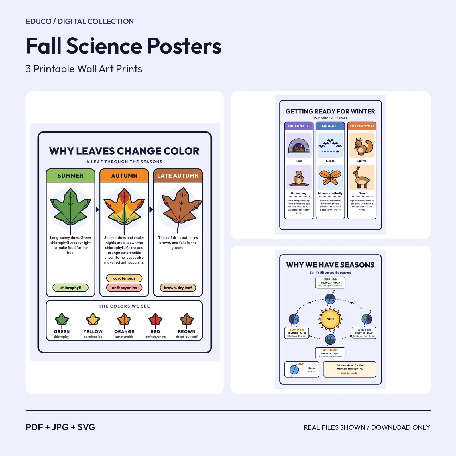 Fall Science Posters – 3 Printable Leaf Color, Animals and Seasons Charts, preview 1 of 3