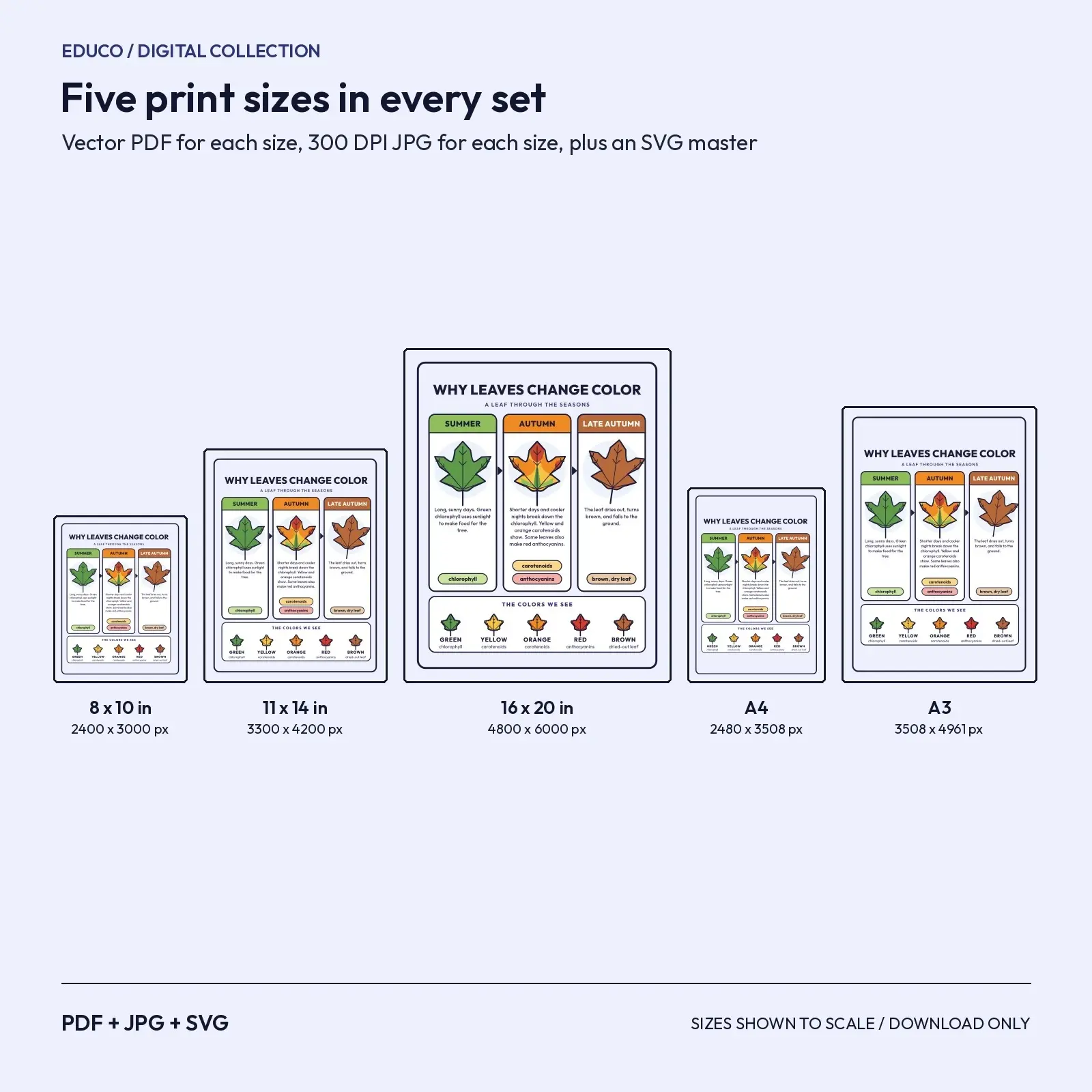 Fall Science Posters – 3 Printable Leaf Color, Animals and Seasons Charts, preview 3 of 3