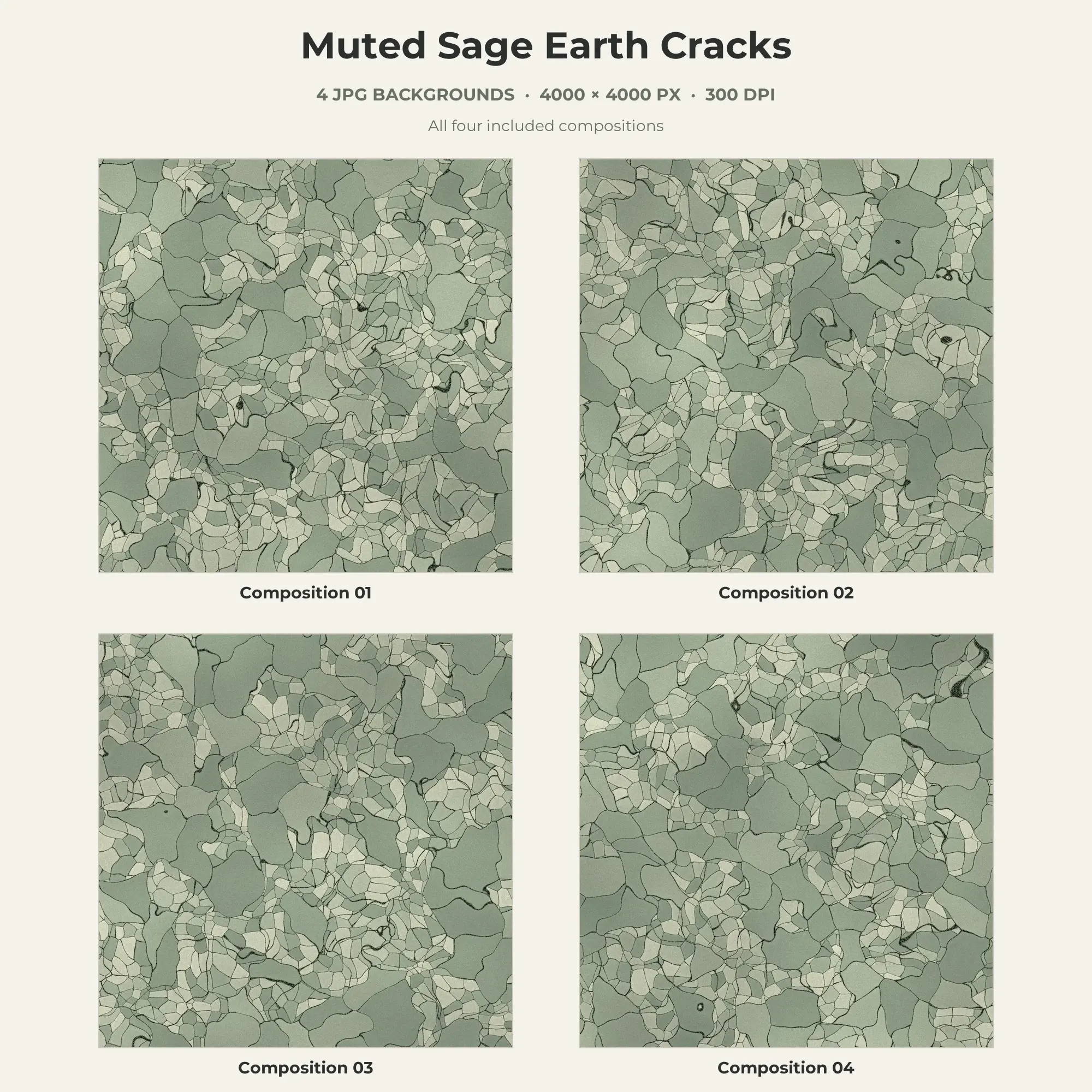 Muted Sage Earth Cracks Texture Pack - 4 JPG preview