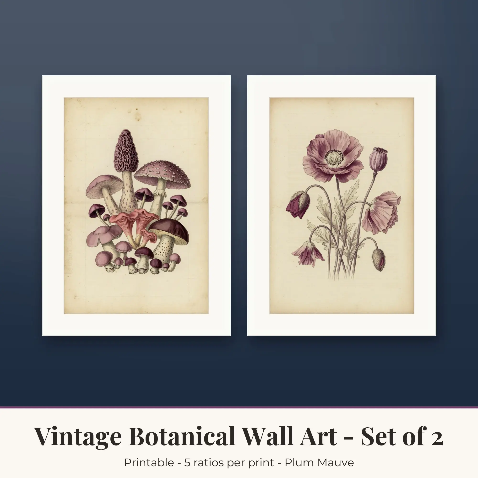 Vintage Botanical Printable Art Set of 2: Mushrooms and Poppy Field preview
