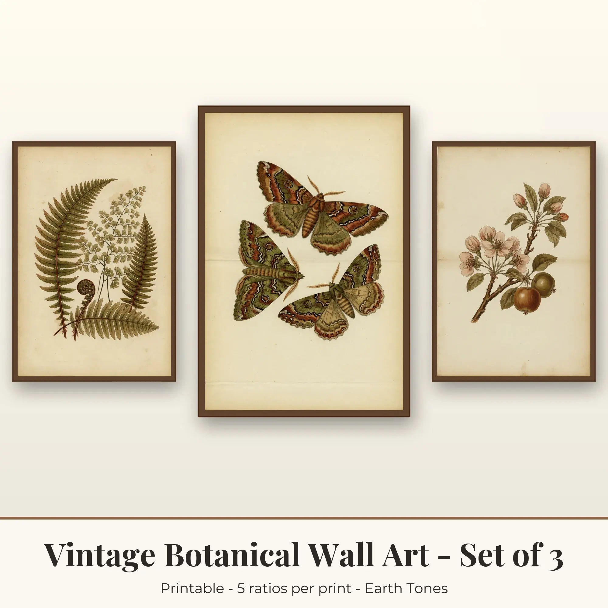 Vintage Botanical Wall Art Set of 3, Earth Tones Ferns & Moths preview