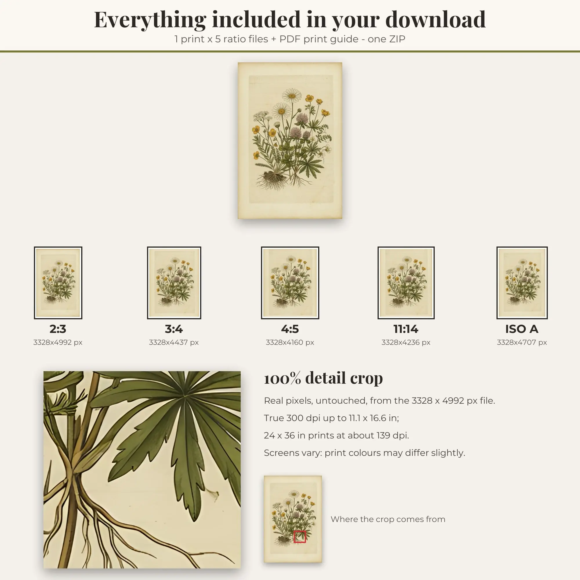 Vintage Botanical Wall Art Print, Wildflowers, Printable, preview 2 of 2