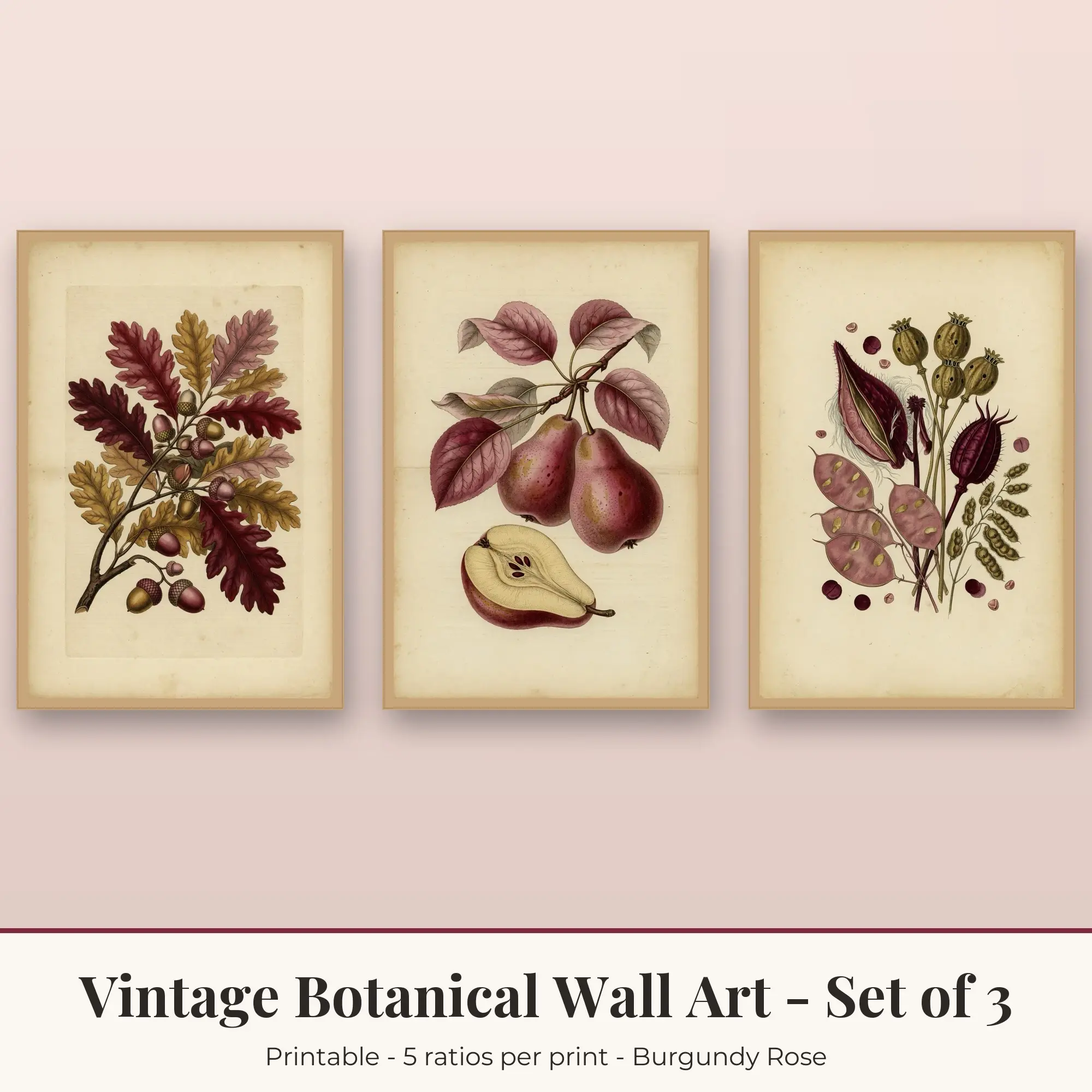 Oak Leaves Vintage Botanical Set of 3 - Burgundy Rose preview