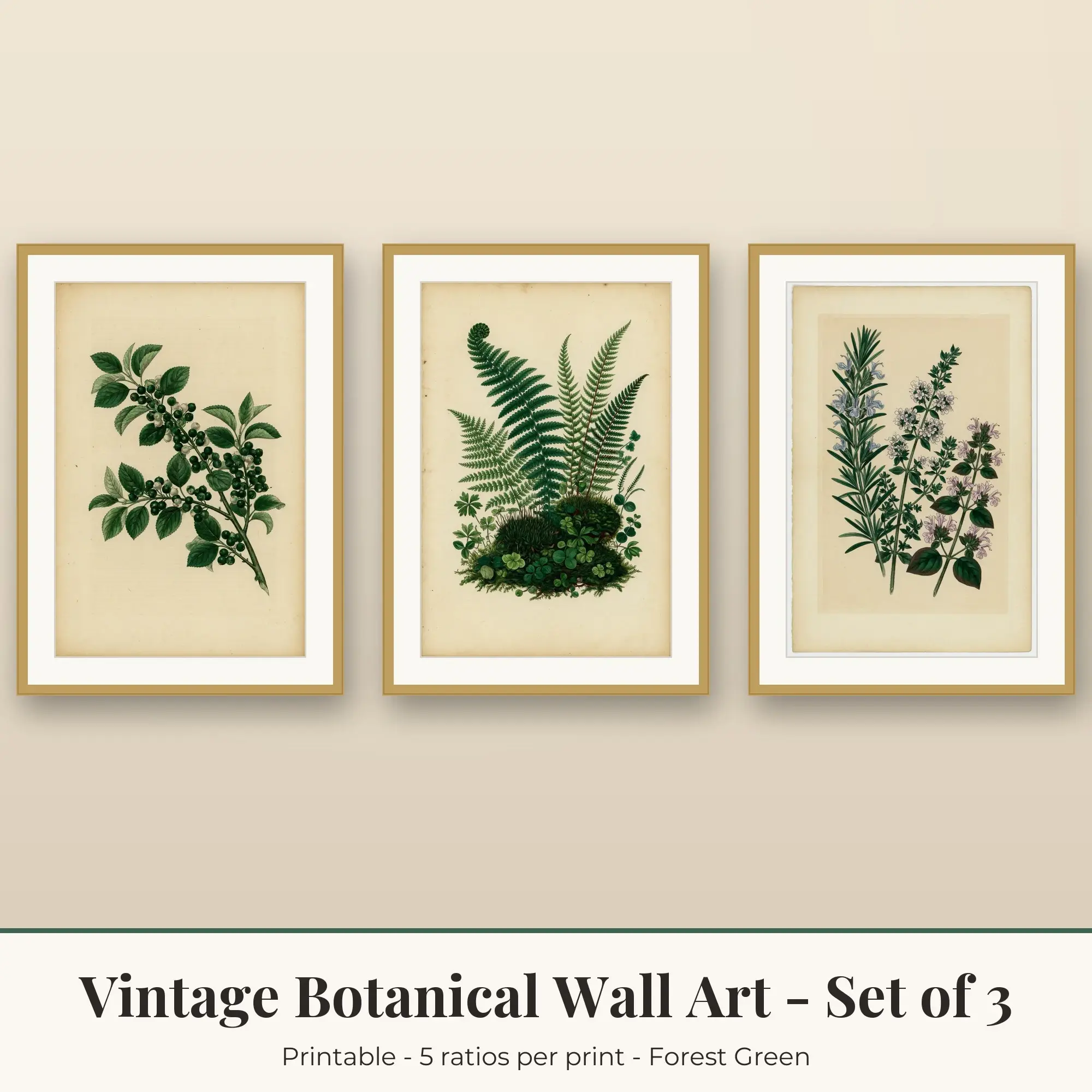 Vintage Botanical Wall Art Set of 3: Berry Branch, Forest Green preview