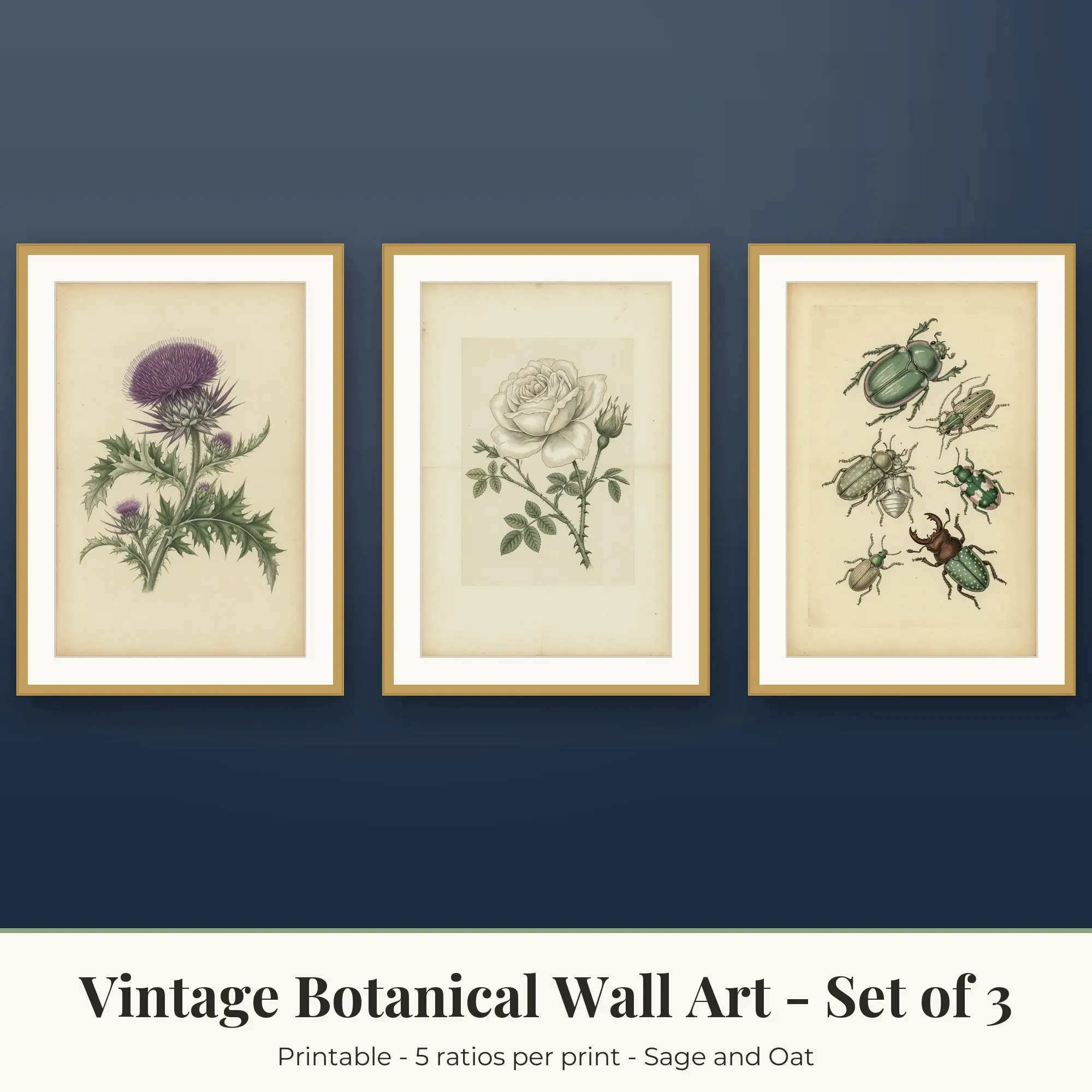 Vintage Botanical Wall Art Set of 3, Sage and Oat Thistle & Rose Study preview