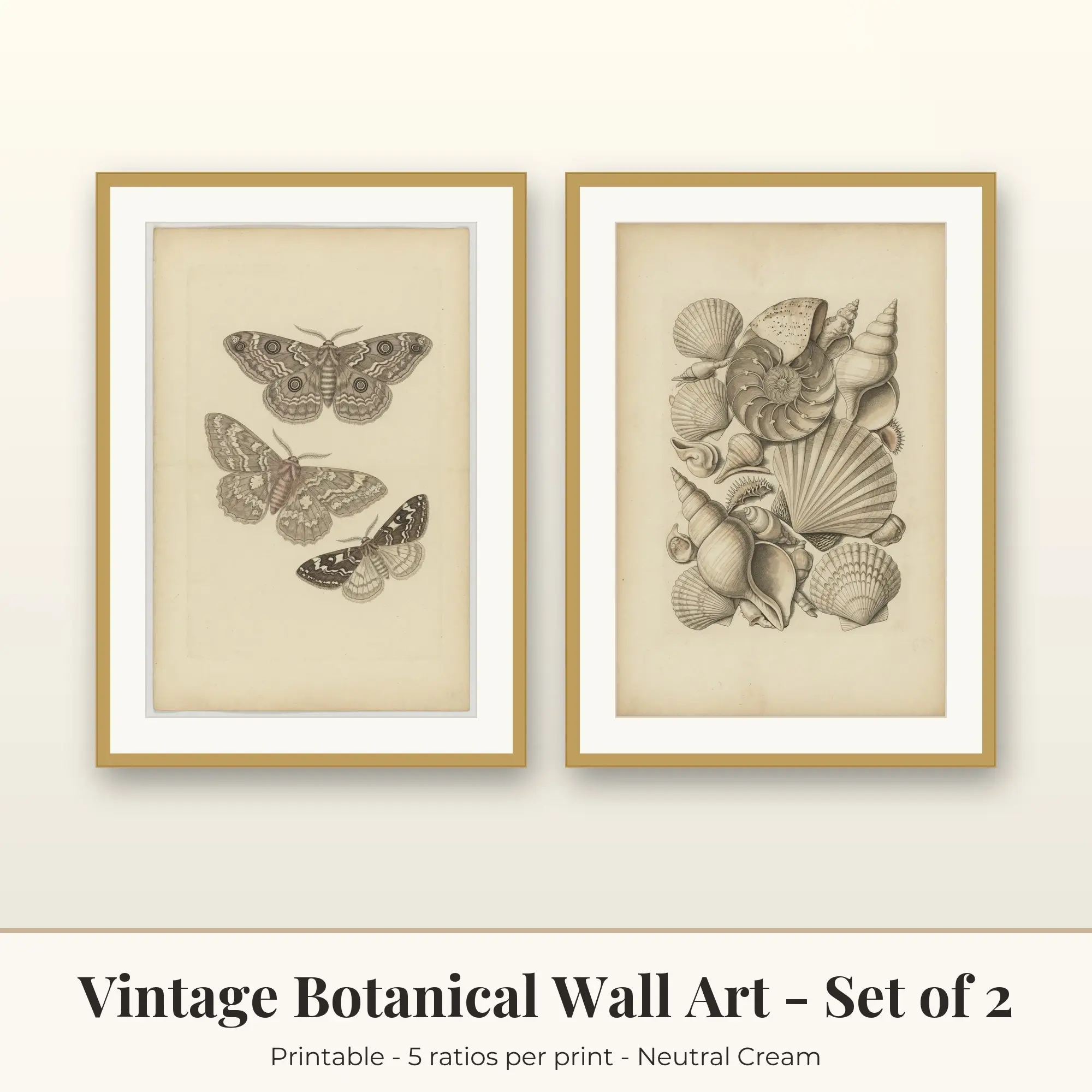 Vintage Botanical Wall Art Set of 2, Moths and Sea Shells, Printable preview