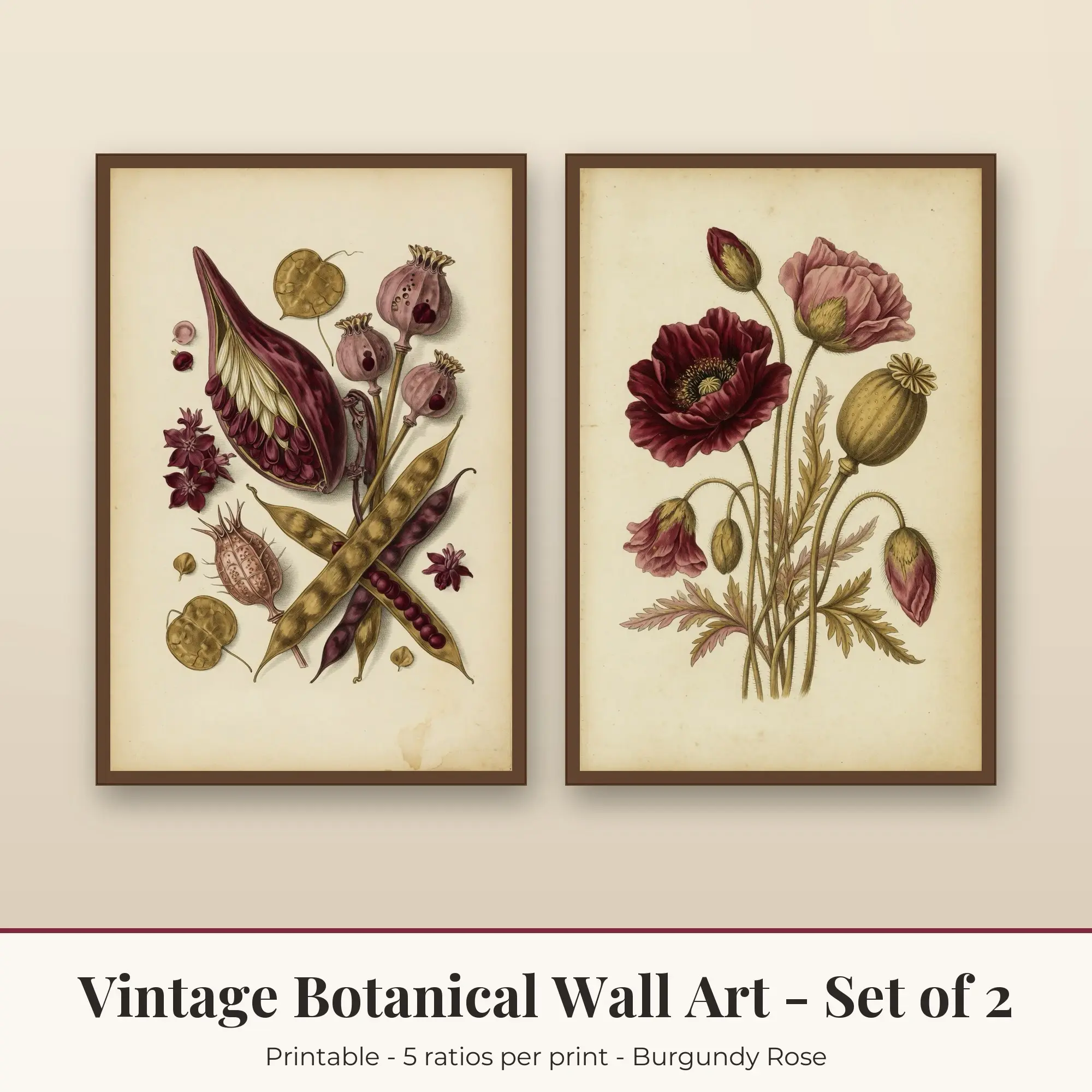 Vintage Botanical Printable Art Set of 2: Seed Pods and Poppy Field preview