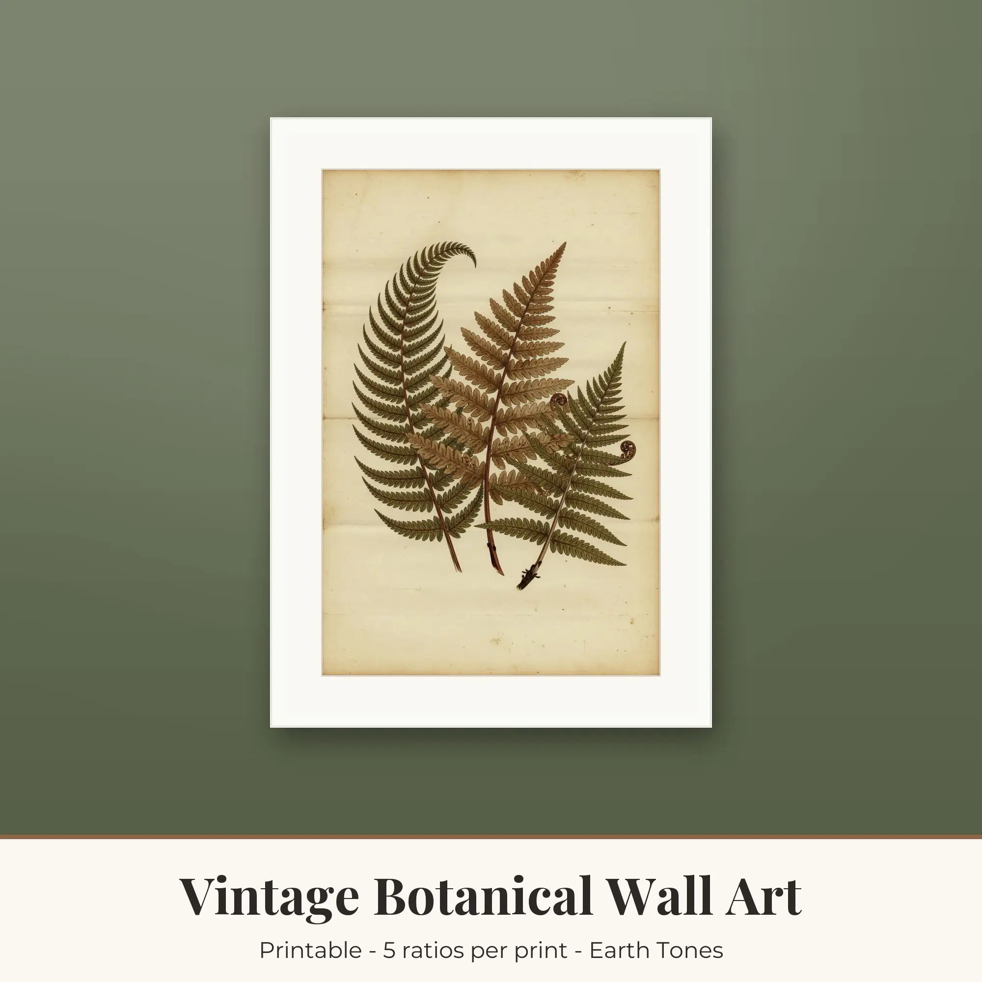 Vintage Botanical Wall Art Print - Ferns - Earth Tones preview