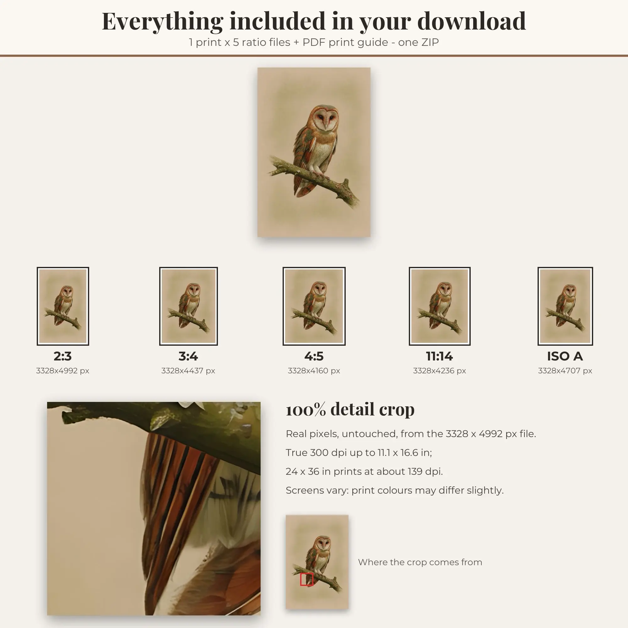 Barn Owl Animal Prints Print, Printable Wall Art, preview 2 of 2