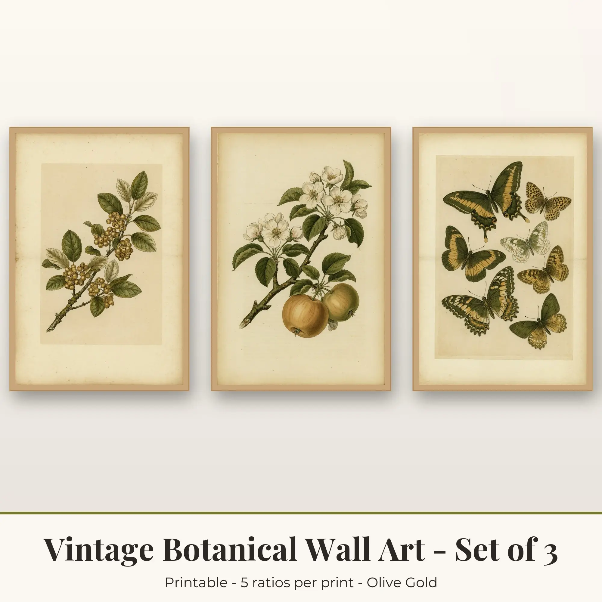 Berry Branch Vintage Botanical Set of 3 - Olive Gold preview