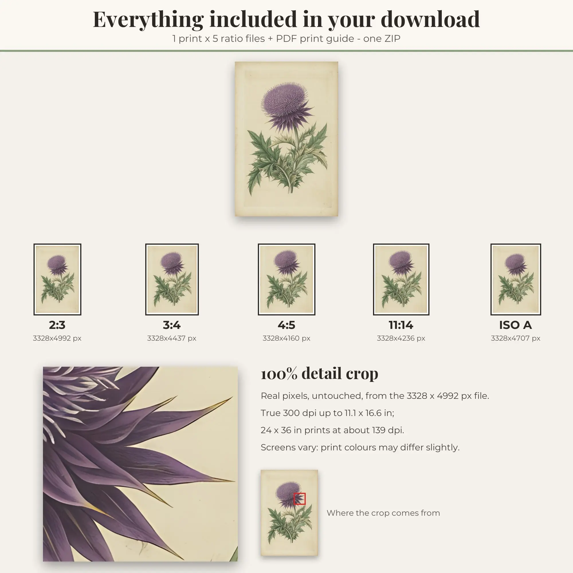 Thistle Wall Art Print | Vintage Botanical Digital Prints, preview 2 of 2