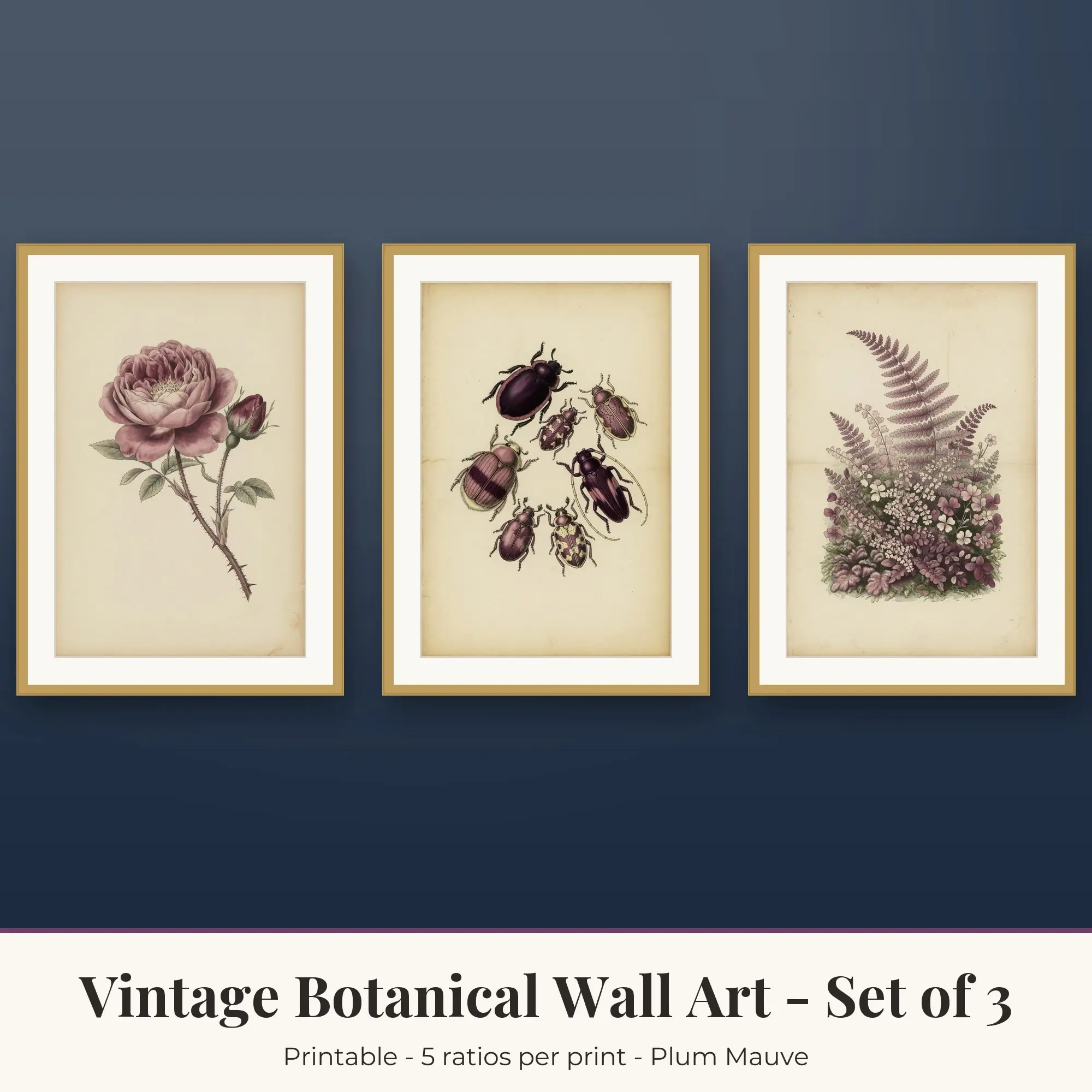 Vintage Botanical Wall Art Set of 3, Plum Mauve Rose Study & Beetles preview