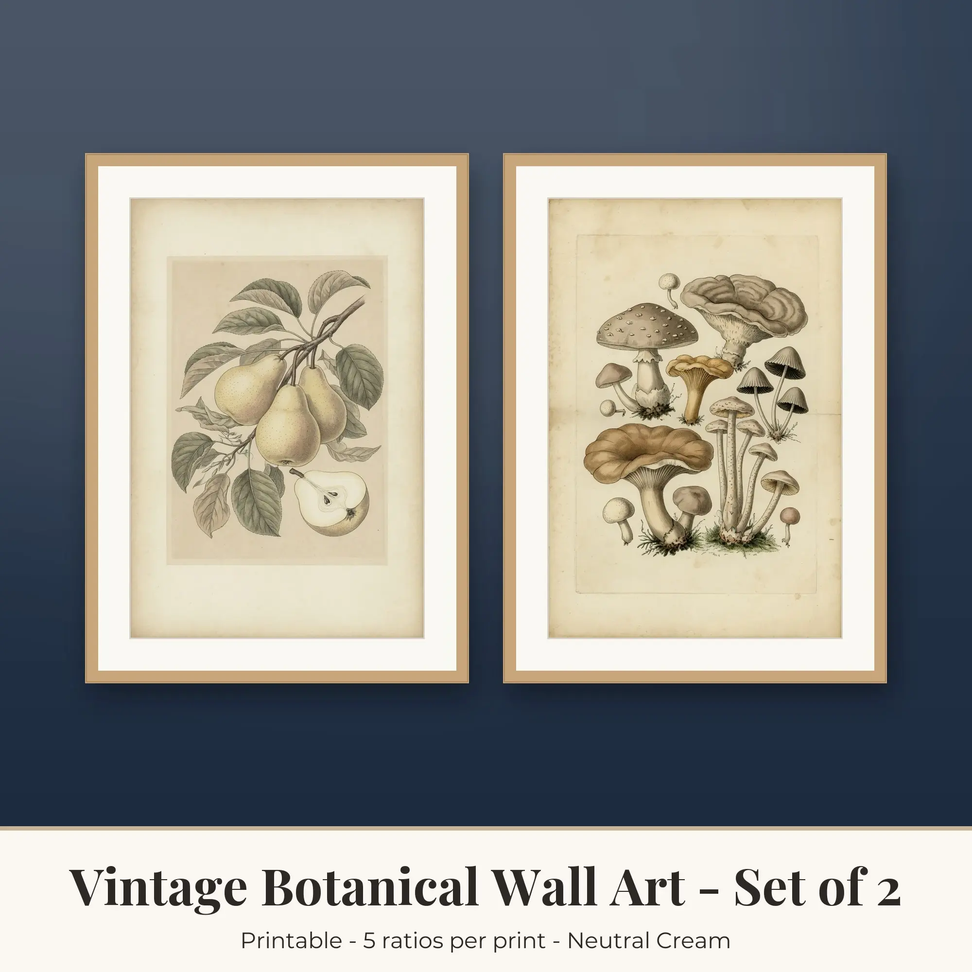 Vintage Botanical Printable Art Set of 2: Orchard Pears and Mushrooms preview
