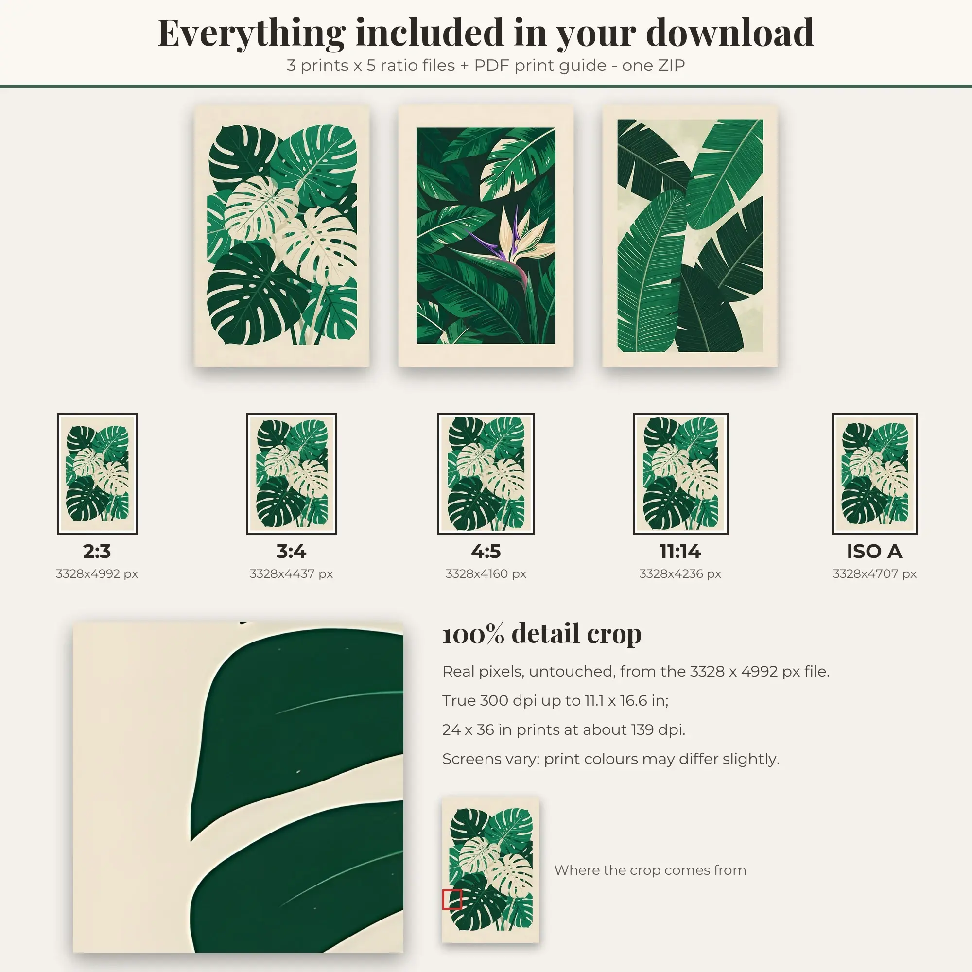 Monstera Leaves Tropical Set of 3 - Forest Green, preview 2 of 2