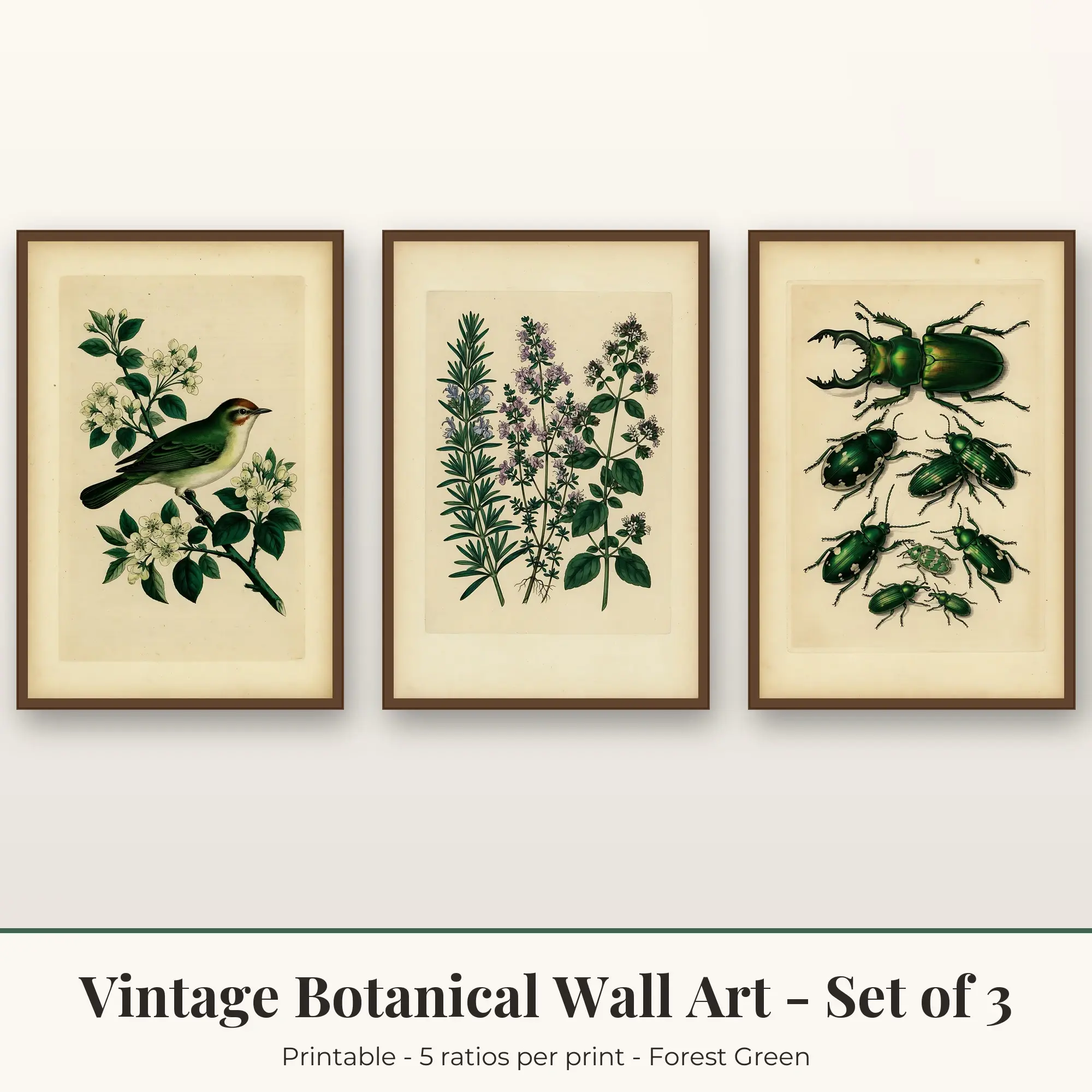 Songbird Vintage Botanical Set of 3 - Forest Green preview