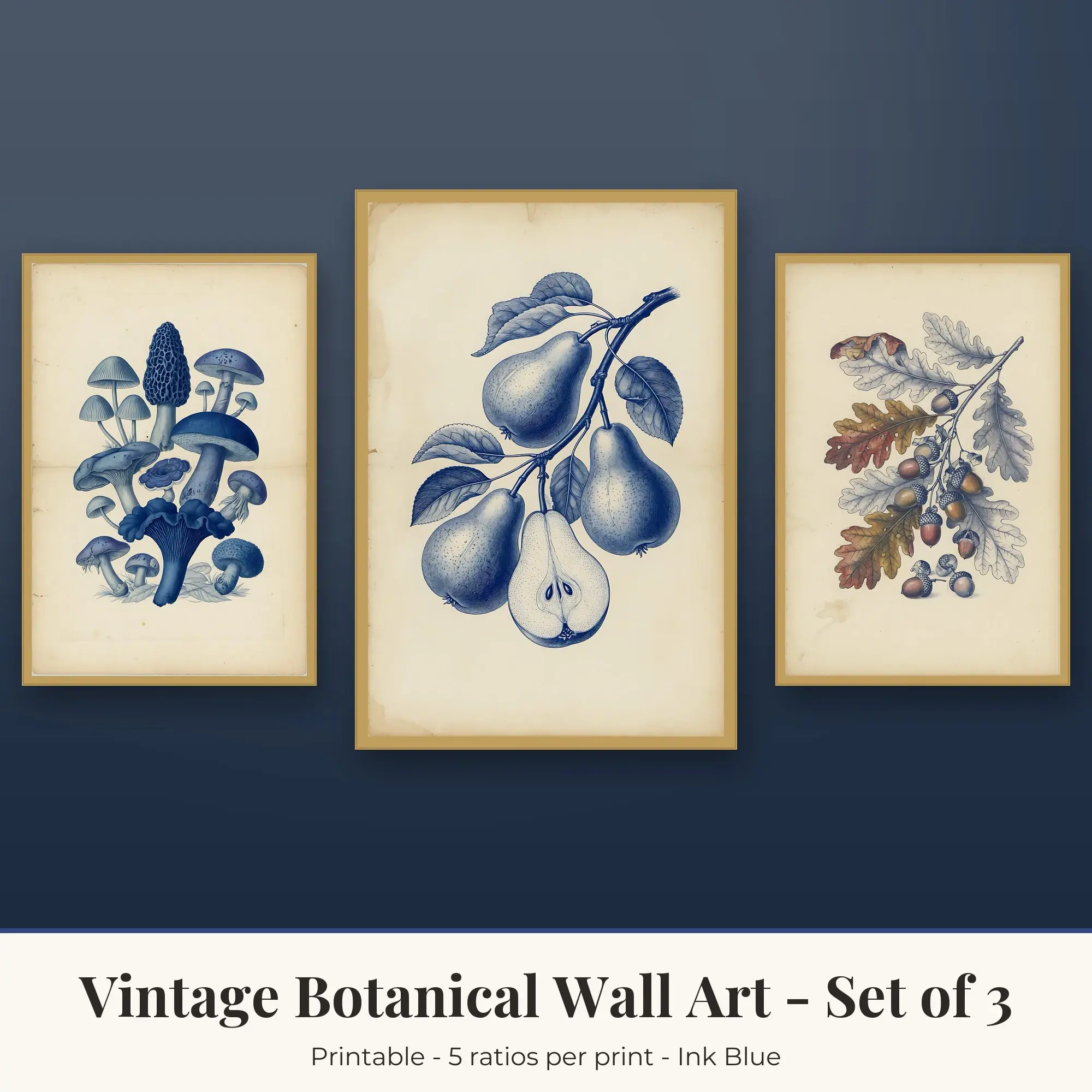 Vintage Botanical Wall Art Set of 3: Mushrooms, Ink Blue preview