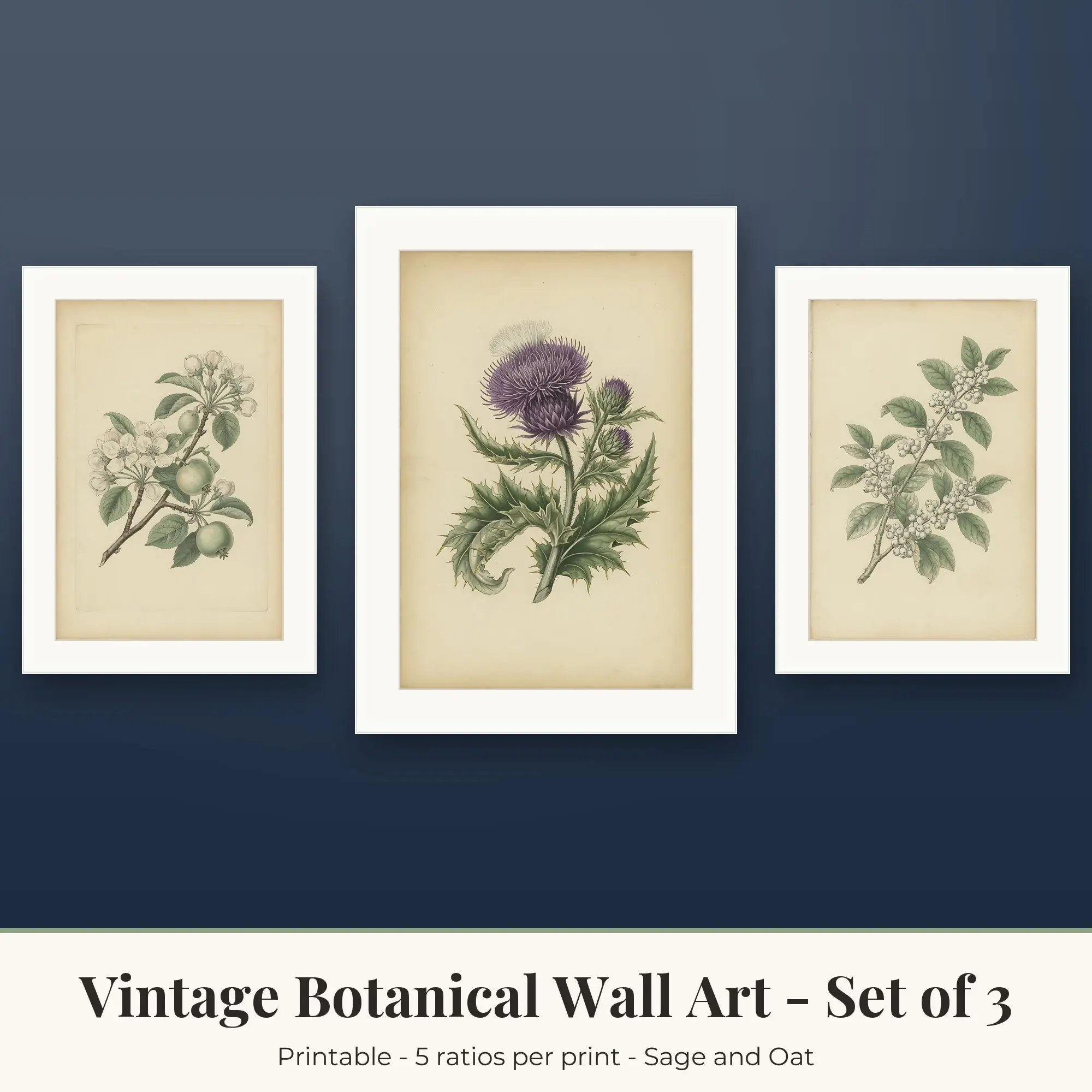 Vintage Botanical Wall Art Set of 3: Thistle, Sage and Oat preview