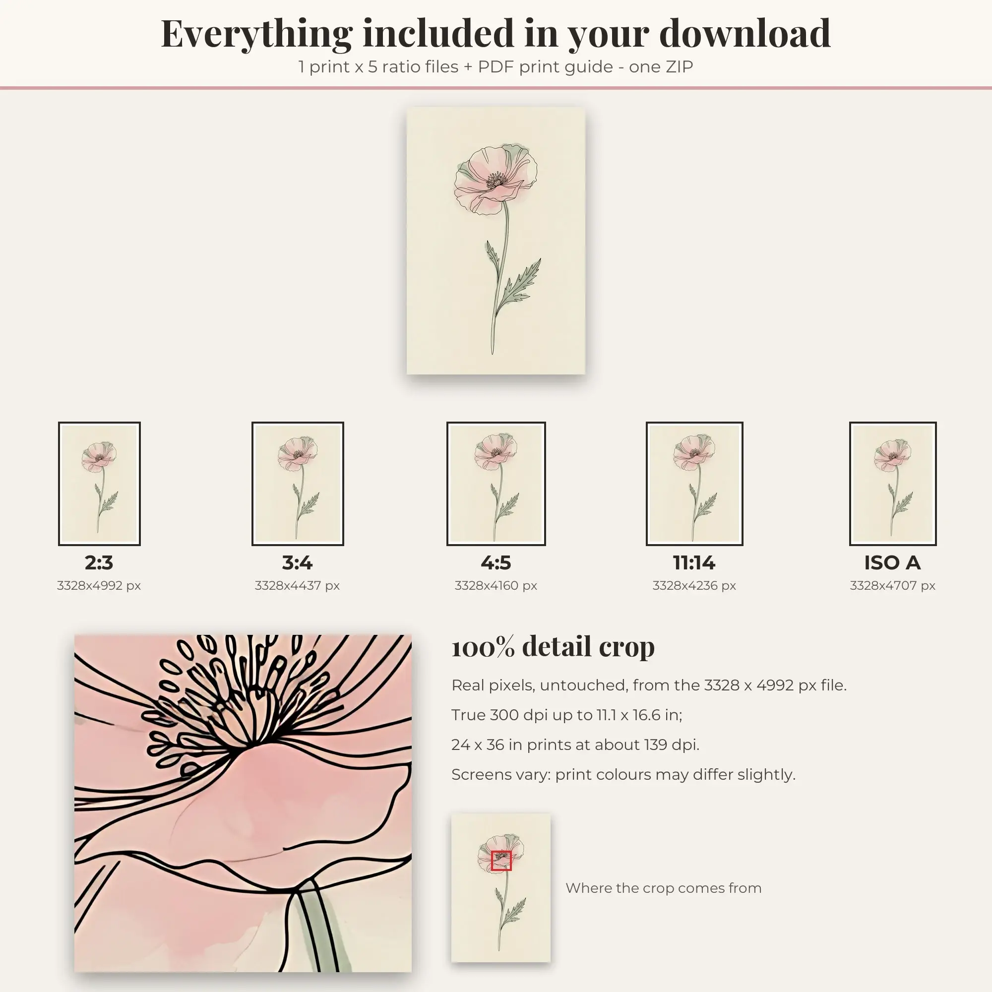 Botanical Line Art Wall Art Print - Poppy - Blush Sage, preview 2 of 2