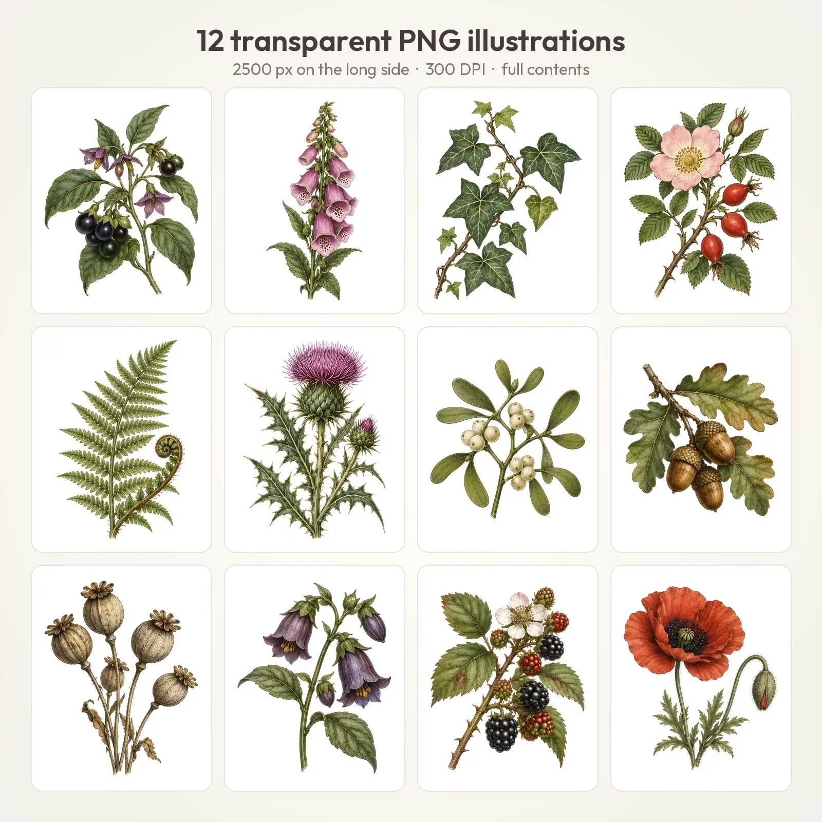 Dark Botanical Sprigs Clip Art – 12 Vintage Engraved Plants, preview 2 of 4