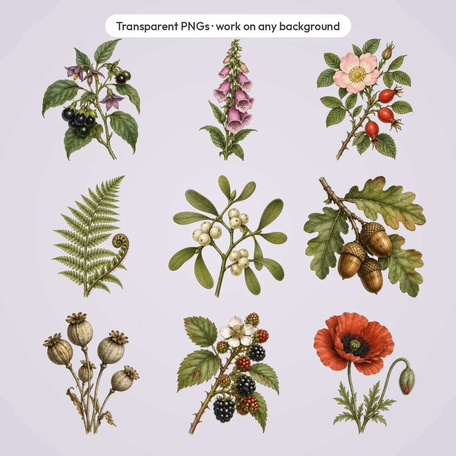 Dark Botanical Sprigs Clip Art – 12 Vintage Engraved Plants, preview 4 of 4