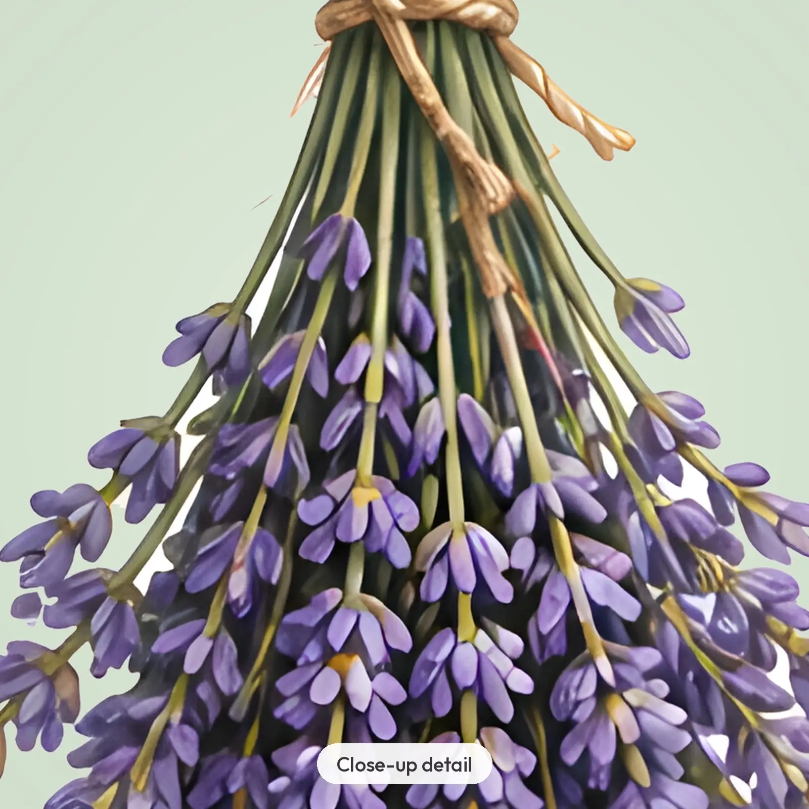 Herb Bundles and Apothecary Shelf Clip Art – 12 Colored Pencil Pantry PNGs, preview 3 of 4