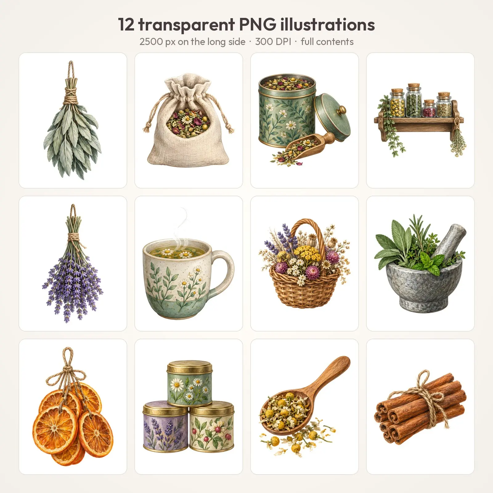 Herb Bundles and Apothecary Shelf Clip Art – 12 Colored Pencil Pantry PNGs, preview 2 of 4