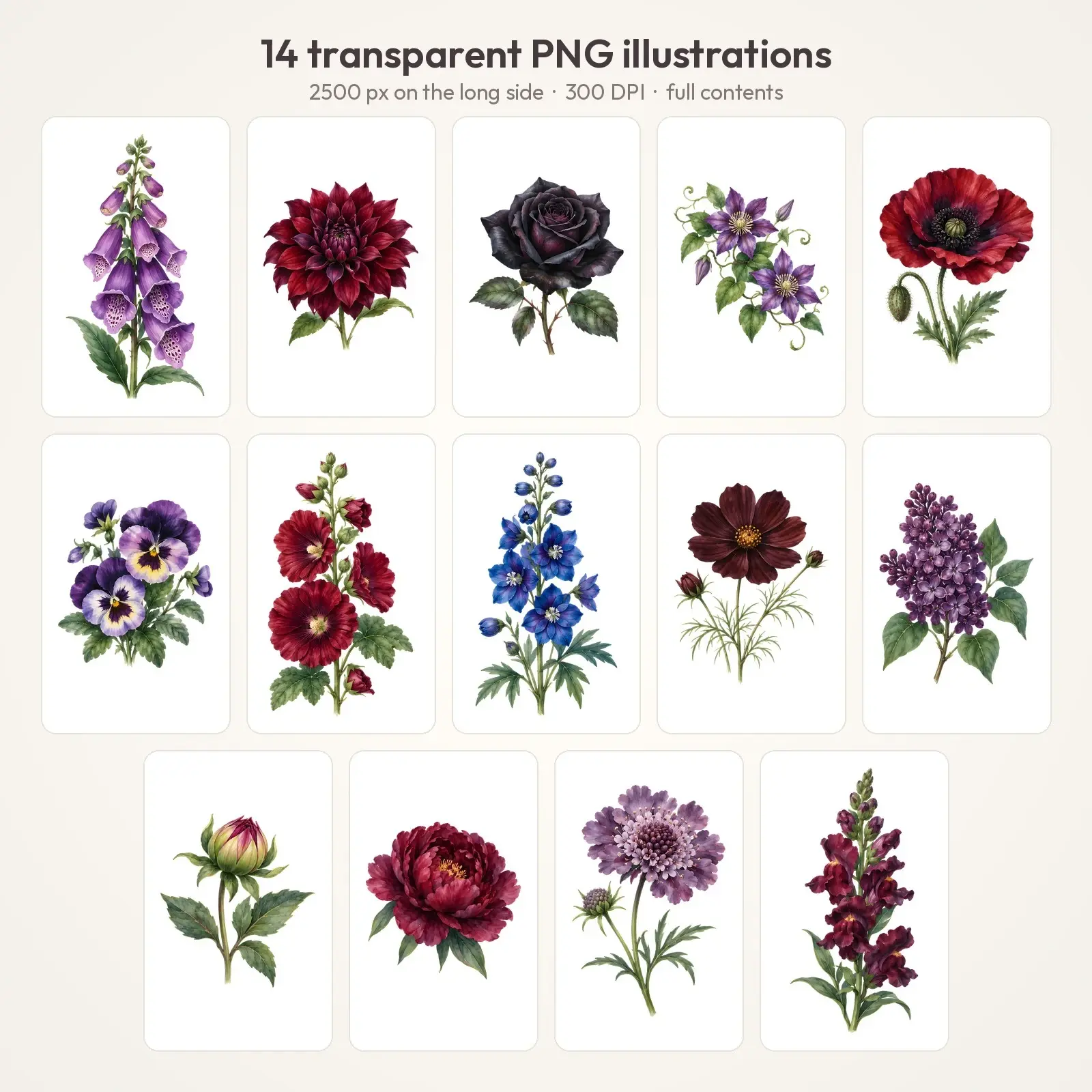 Witch's Garden Flowers Clip Art – 14 Moody Watercolor Blooms, preview 2 of 4