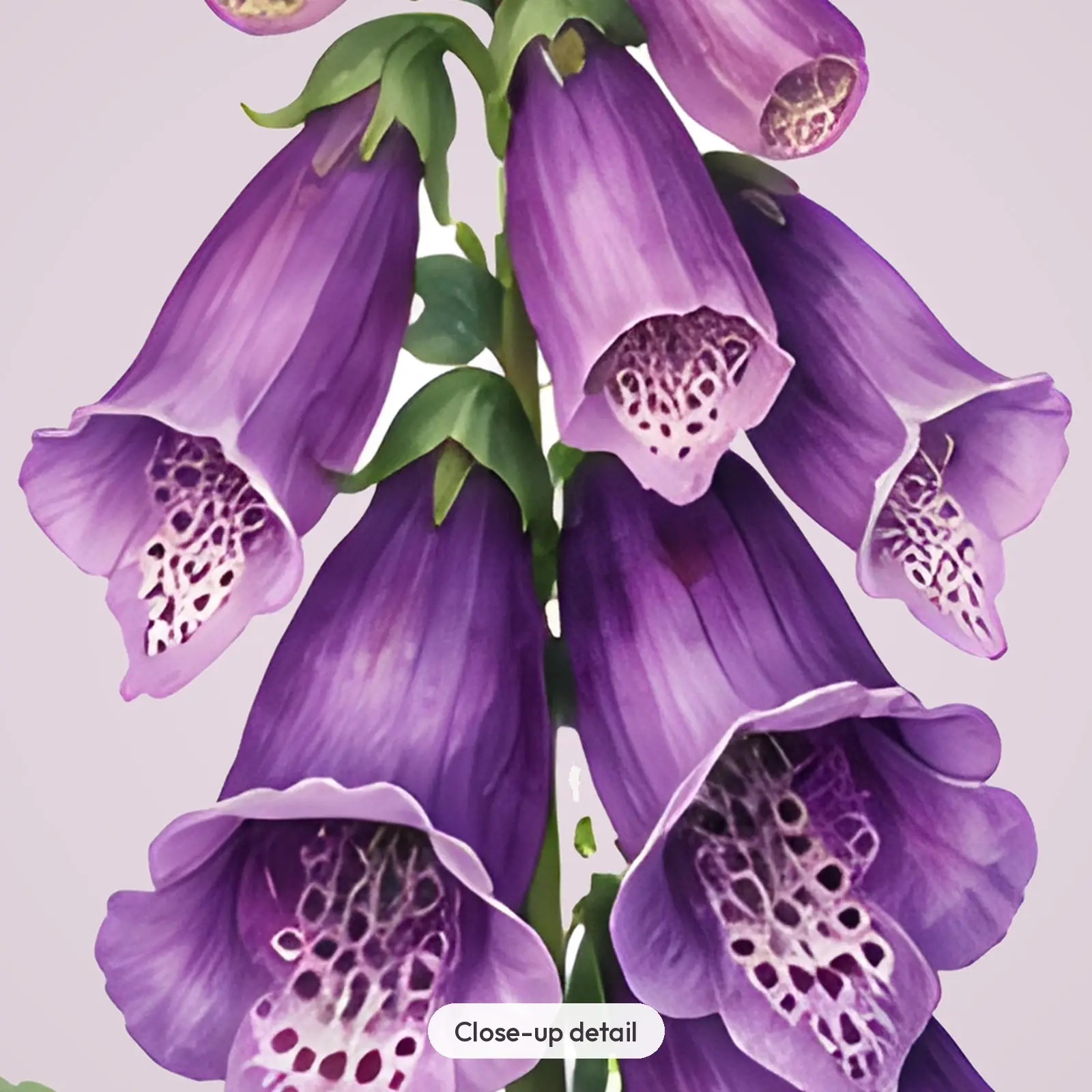 Witch's Garden Flowers Clip Art – 14 Moody Watercolor Blooms, preview 3 of 4
