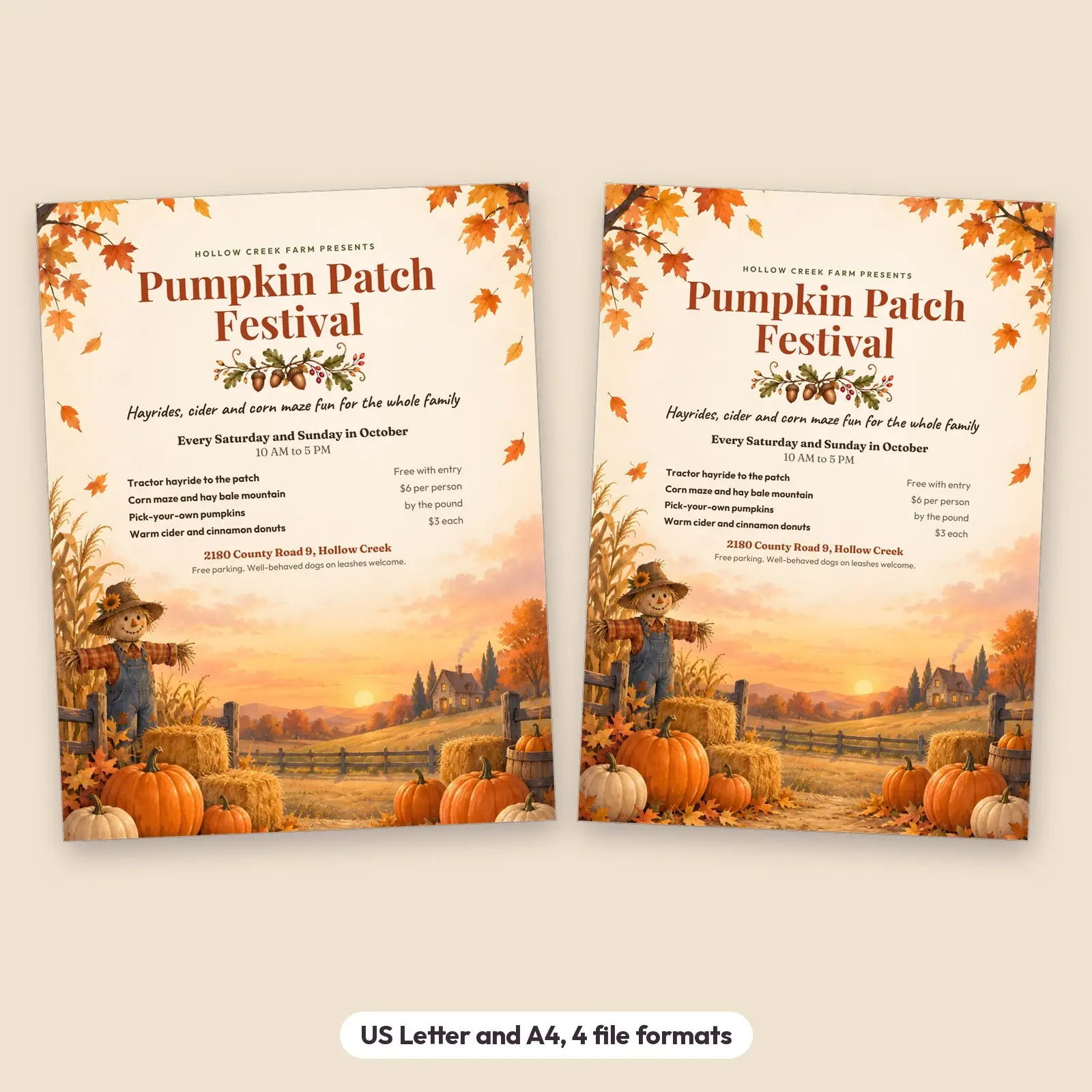Pumpkin Patch Fall Festival Flyer Template – Editable Harvest Event Poster, US Letter and A4, Word, PowerPoint, ODT, ODP, preview 2 of 4