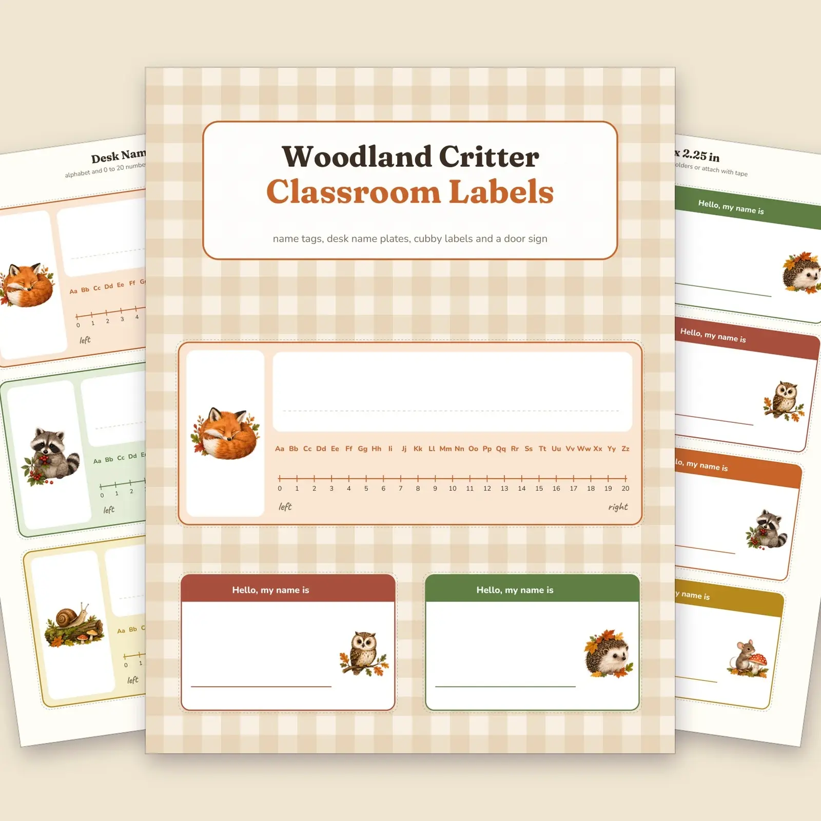 Woodland Critter Classroom Labels – Fillable Name Tags, Desk Name Plates and Cubby Labels for Fall preview