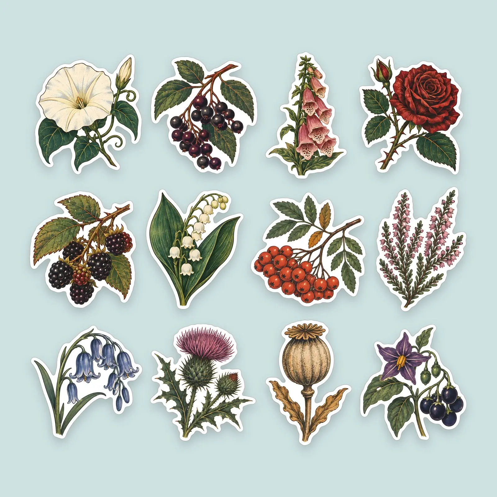Midnight Garden Flowers and Berries Sticker Set – 12 Vintage Botanical Stickers preview