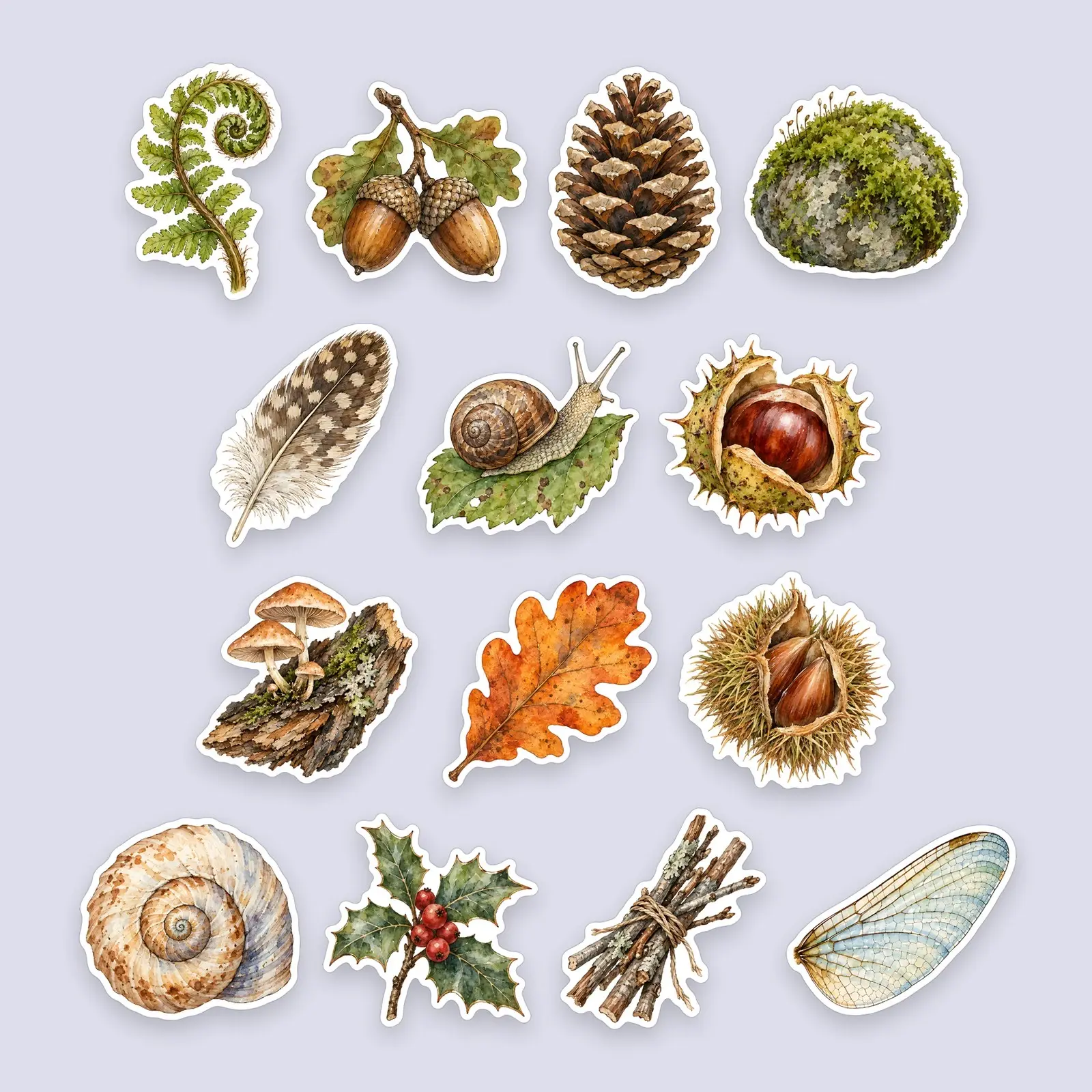 Forest Floor Foragers Sticker Pack – 14 Watercolor Fern, Acorn and Woodland Stickers preview
