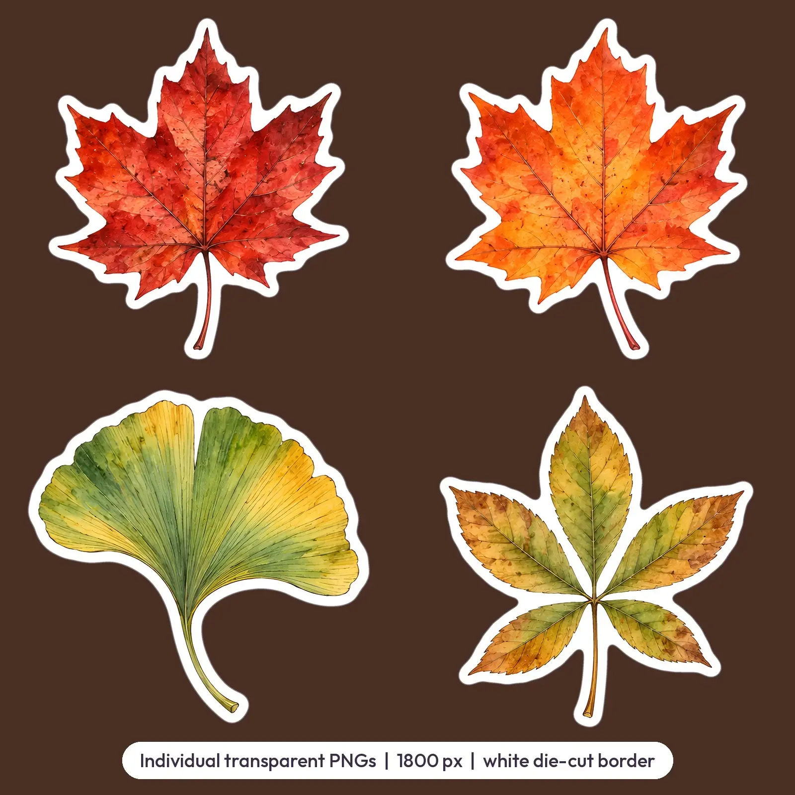 Autumn Leaves Sticker Pack – 12 Watercolor Fall Leaf Stickers for Journals, preview 3 of 3