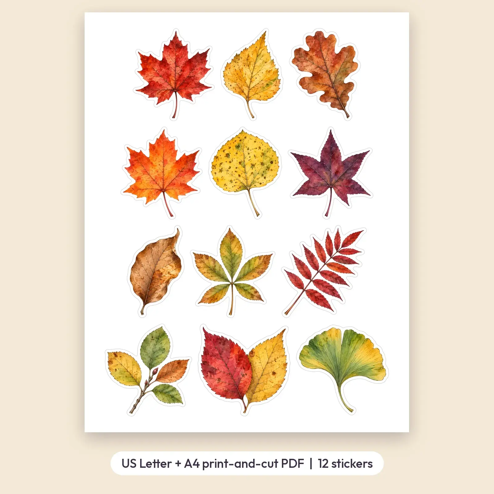 Autumn Leaves Sticker Pack – 12 Watercolor Fall Leaf Stickers for Journals, preview 2 of 3