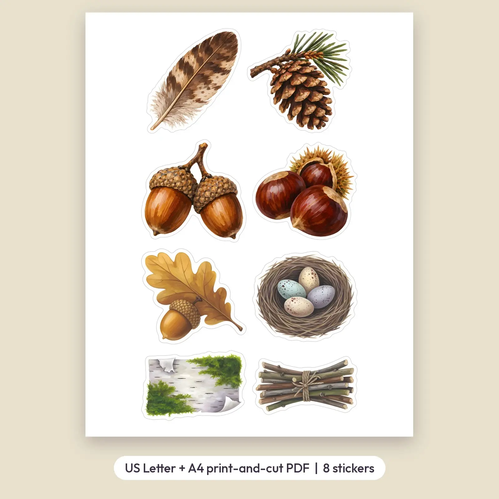 Acorns and Woodland Treasures Sticker Set – 8 Painted Acorn and Pine Cone Stickers, preview 2 of 3