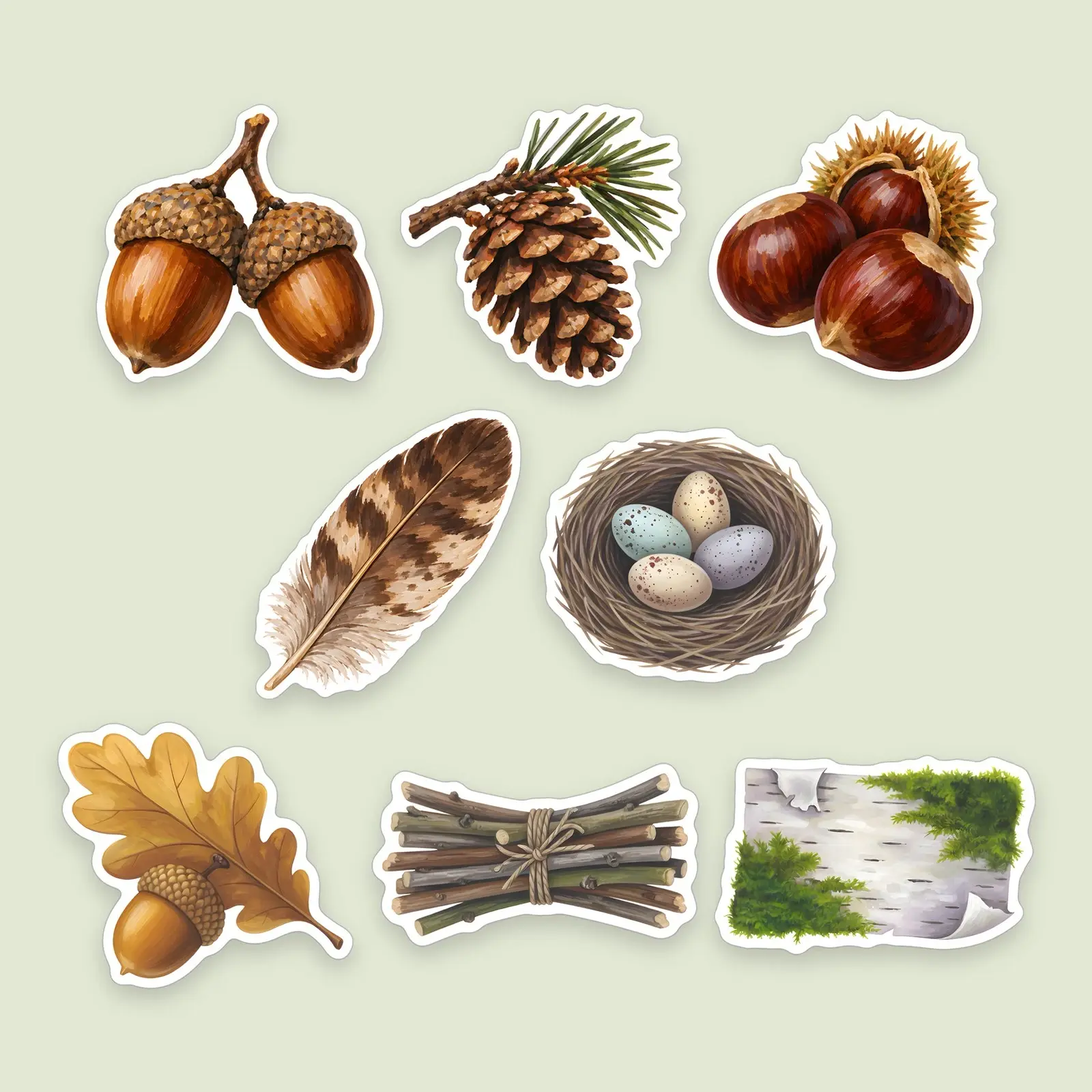 Acorns and Woodland Treasures Sticker Set – 8 Painted Acorn and Pine Cone Stickers, preview 1 of 3