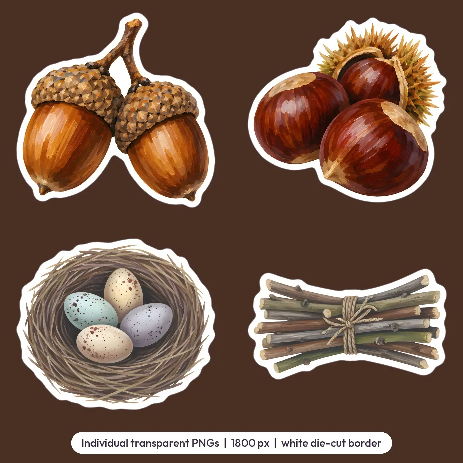 Acorns and Woodland Treasures Sticker Set – 8 Painted Acorn and Pine Cone Stickers, preview 3 of 3