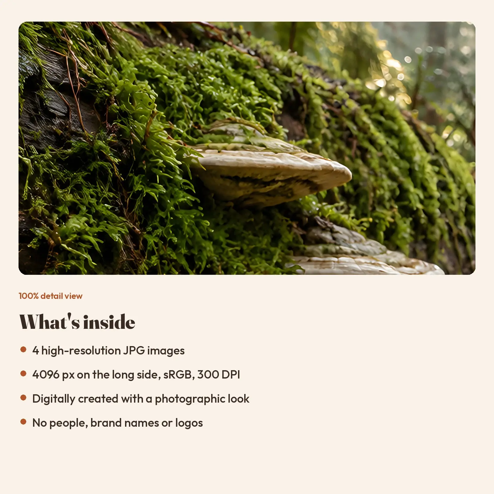 Forest Floor Mushroom Foraging Stock Images - 4 Digitally Created High-Res JPG Photos, preview 3 of 3